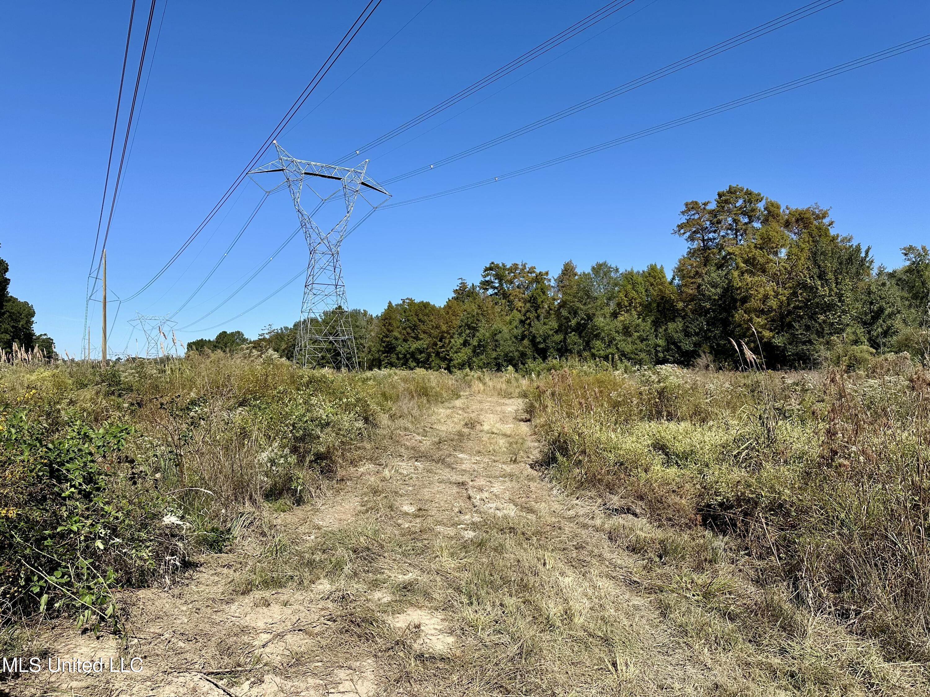 Moaks Creek Rd, Summit, Mississippi image 3