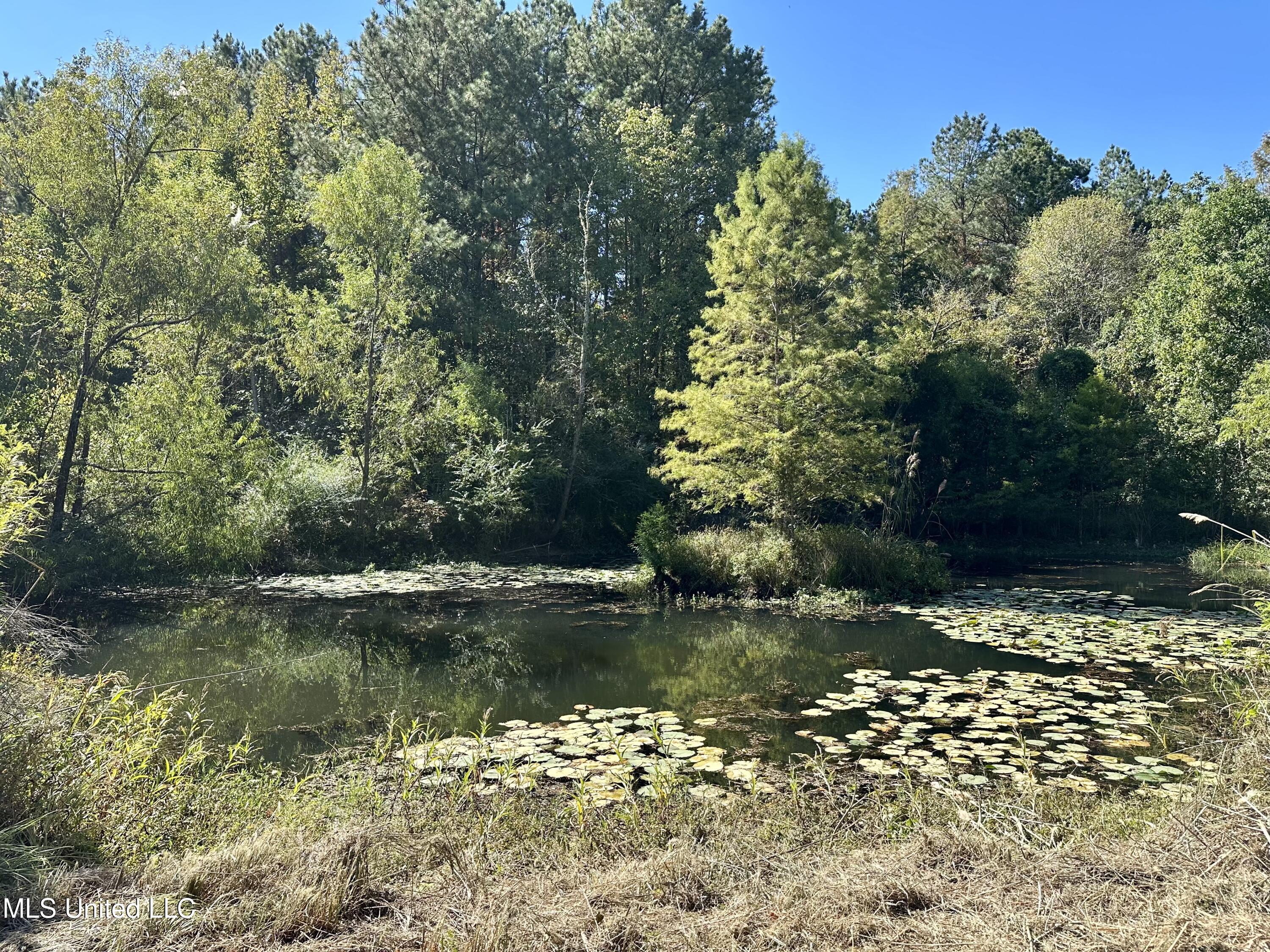 Moaks Creek Rd, Summit, Mississippi image 7