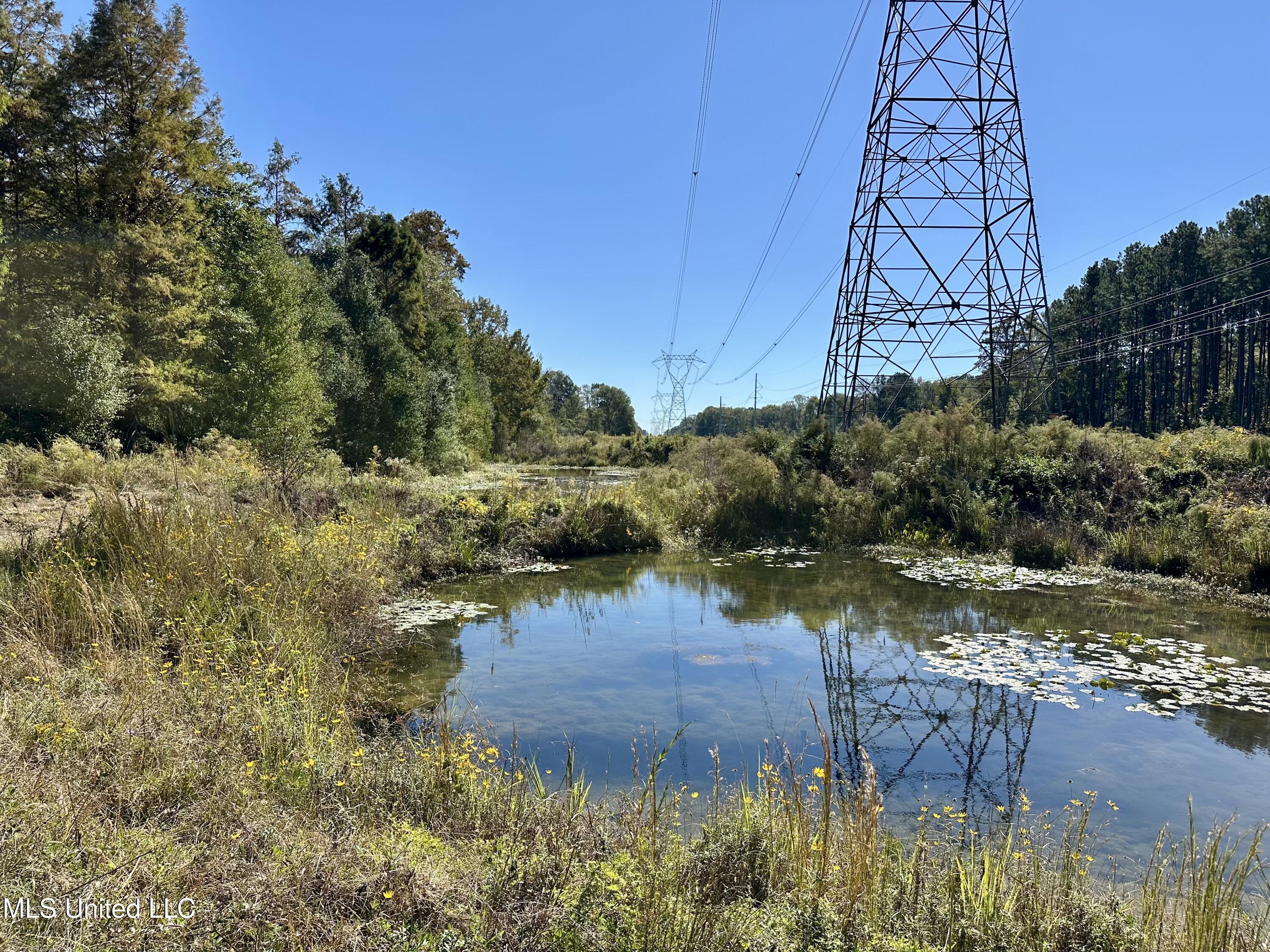 Moaks Creek Rd, Summit, Mississippi image 5