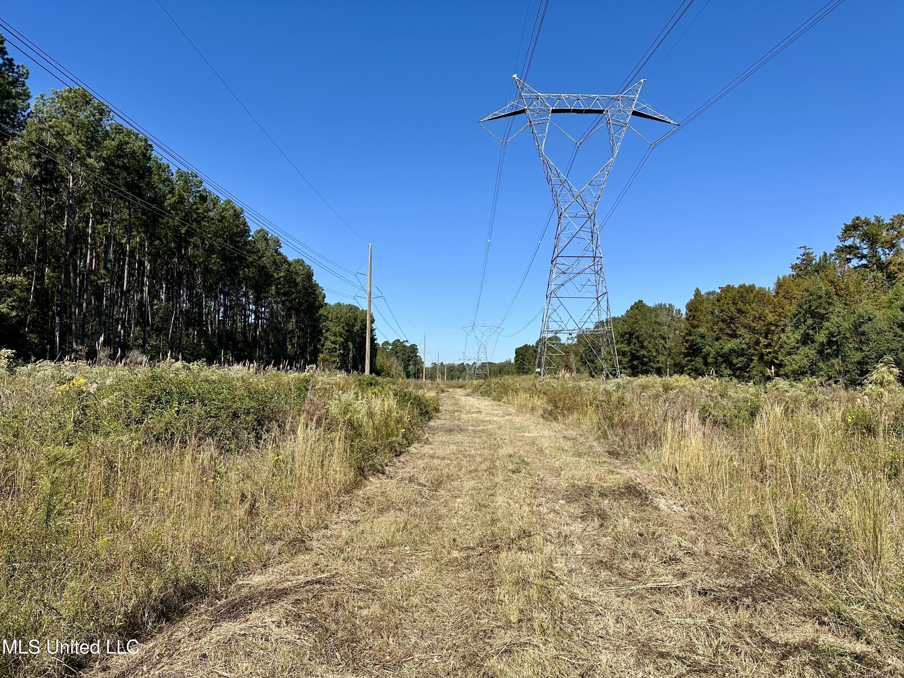 Moaks Creek Rd, Summit, Mississippi image 4