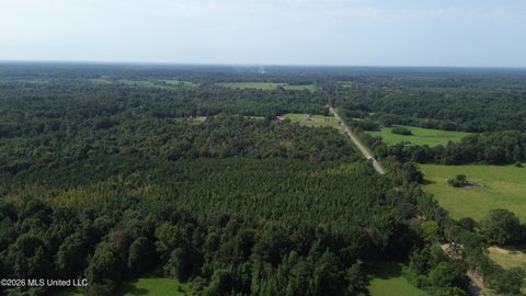 Vacant Land For Sale - 1100 Sharon Road<br/> Madison County, Canton, MS 39046
