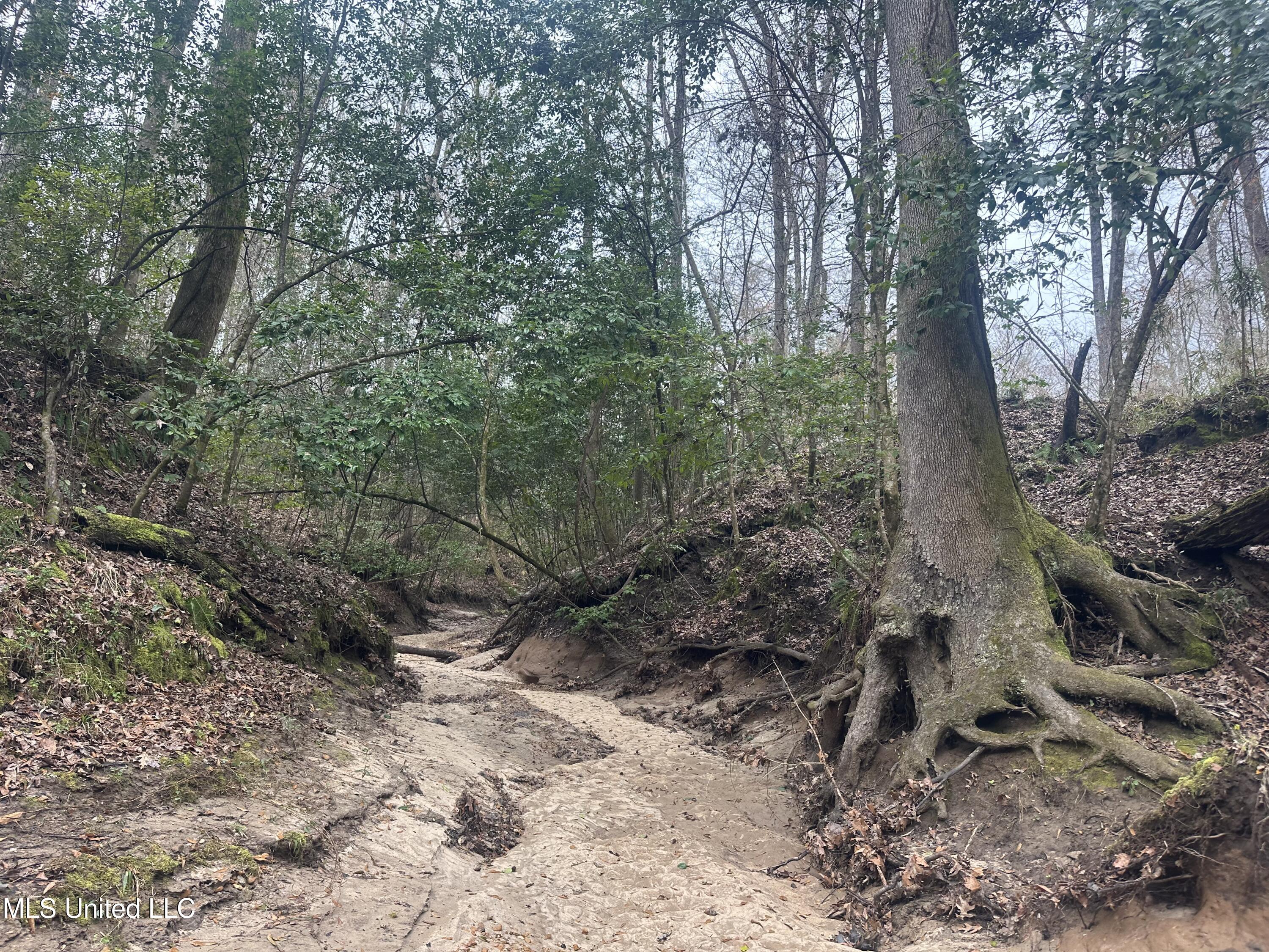 Dunbar Road