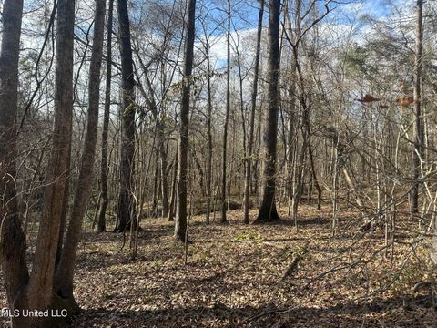 Vacant Land For Sale - Dunbar Road<br/> Adams County, Natchez, MS 39120