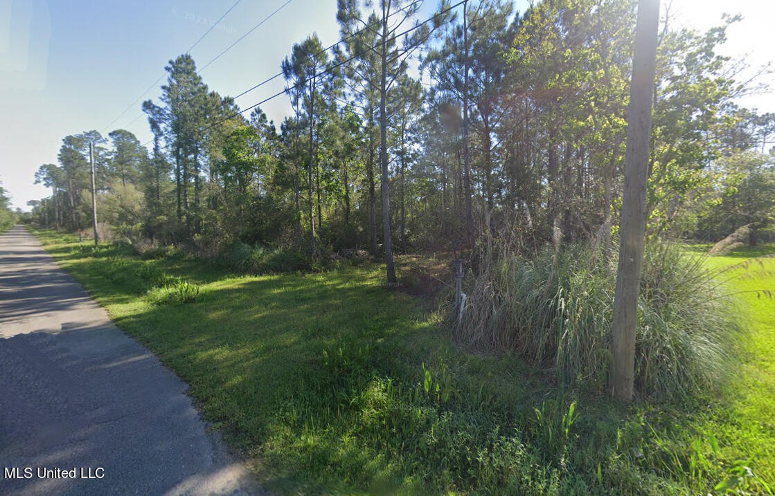 Bayou Drive, Bay Saint Louis, Mississippi image 1