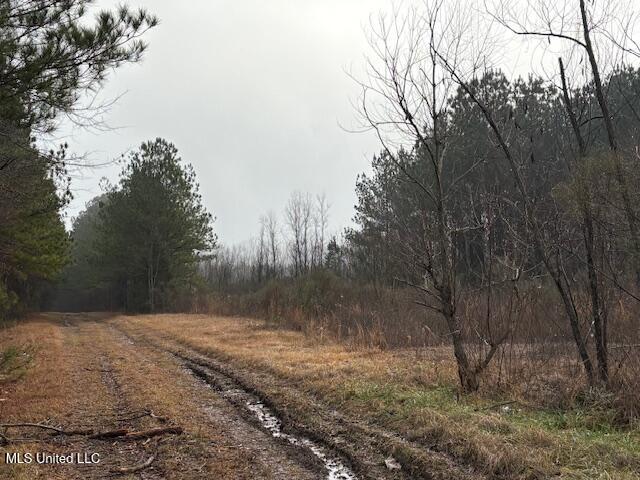 Hwy 35 South, Forest, Mississippi image 4