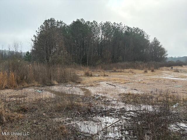 Hwy 35 South, Forest, Mississippi image 5