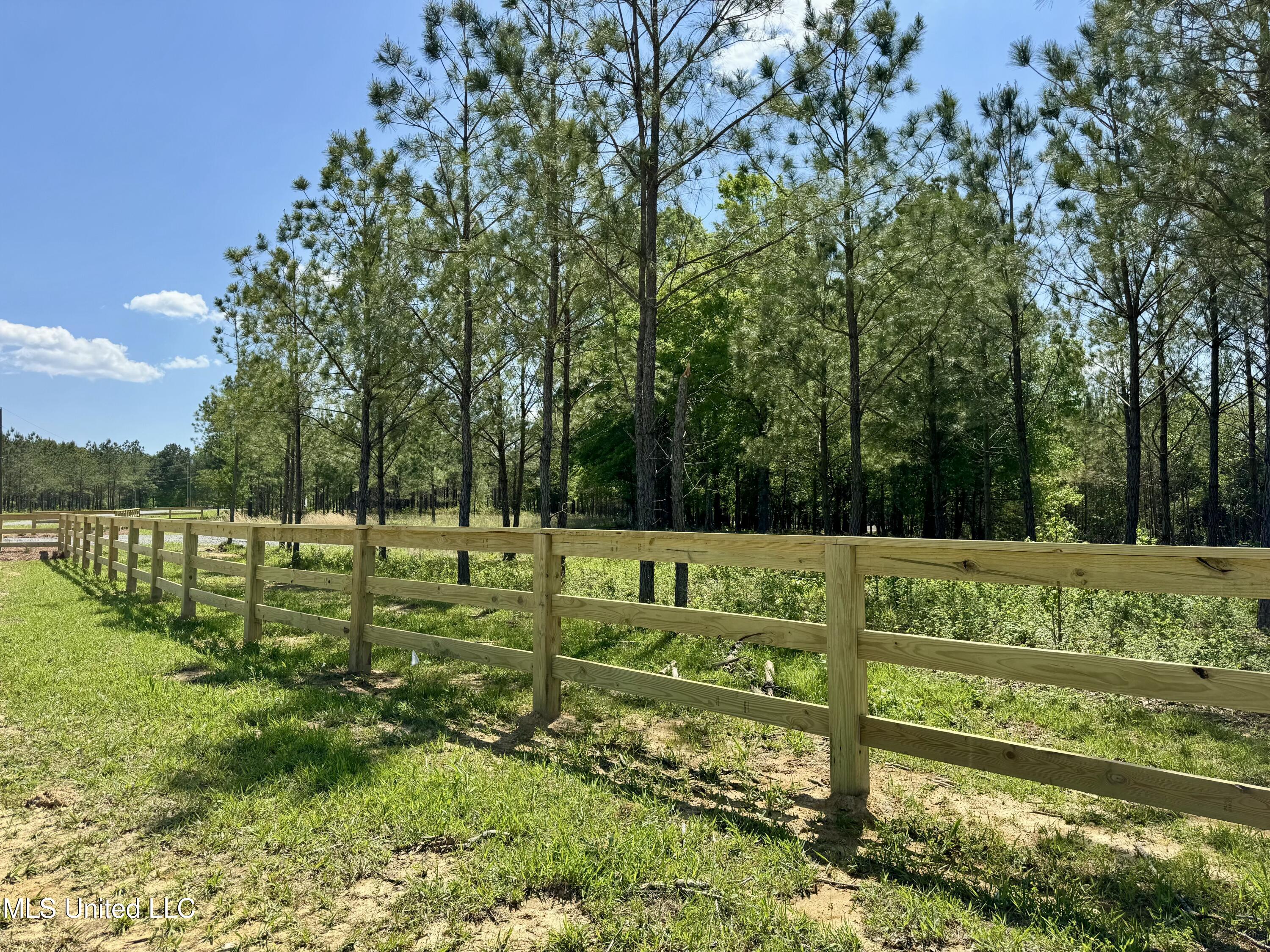 Windfall Trail, Madison, Mississippi image 4