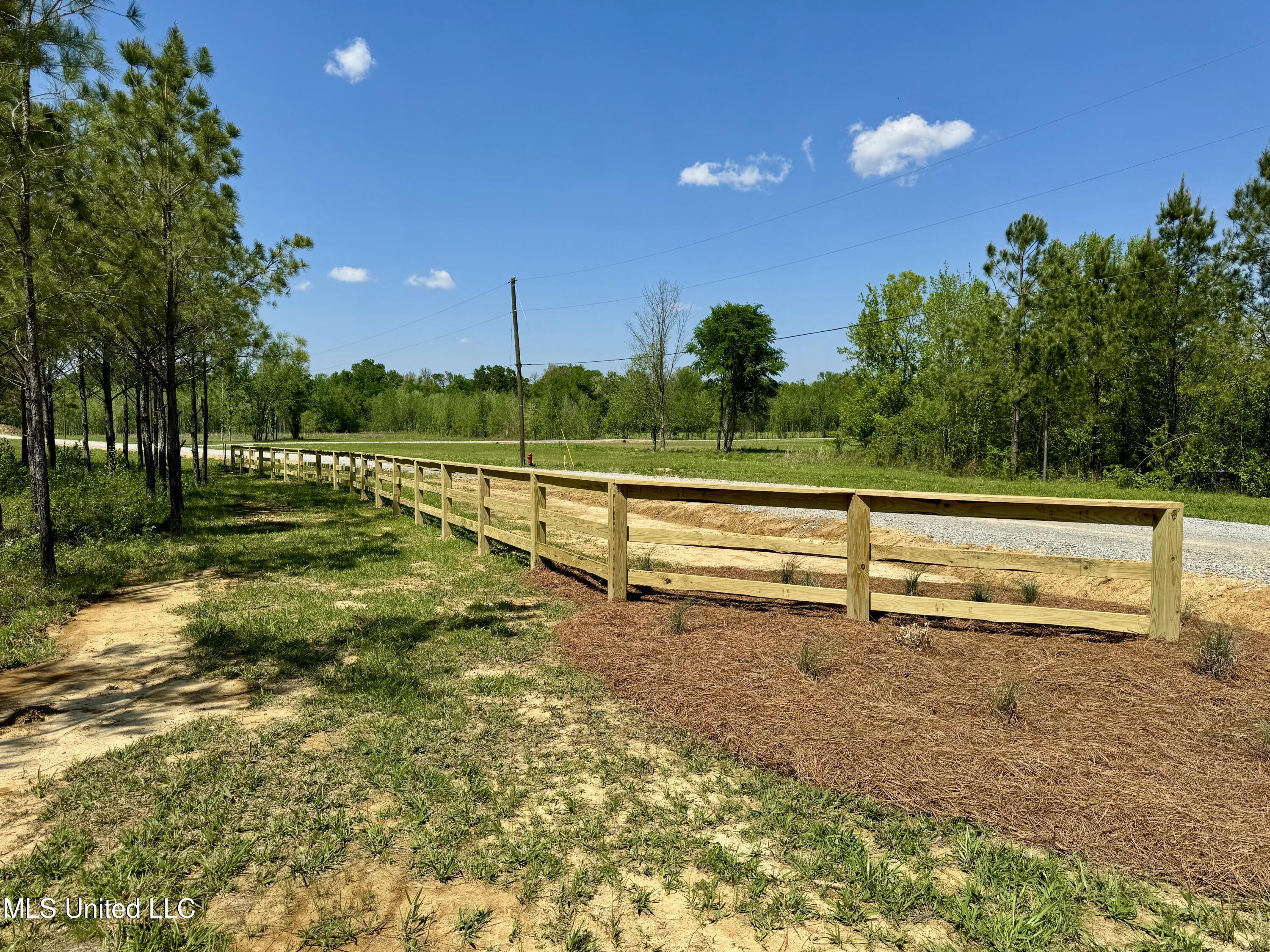 Windfall Trail, Madison, Mississippi image 5