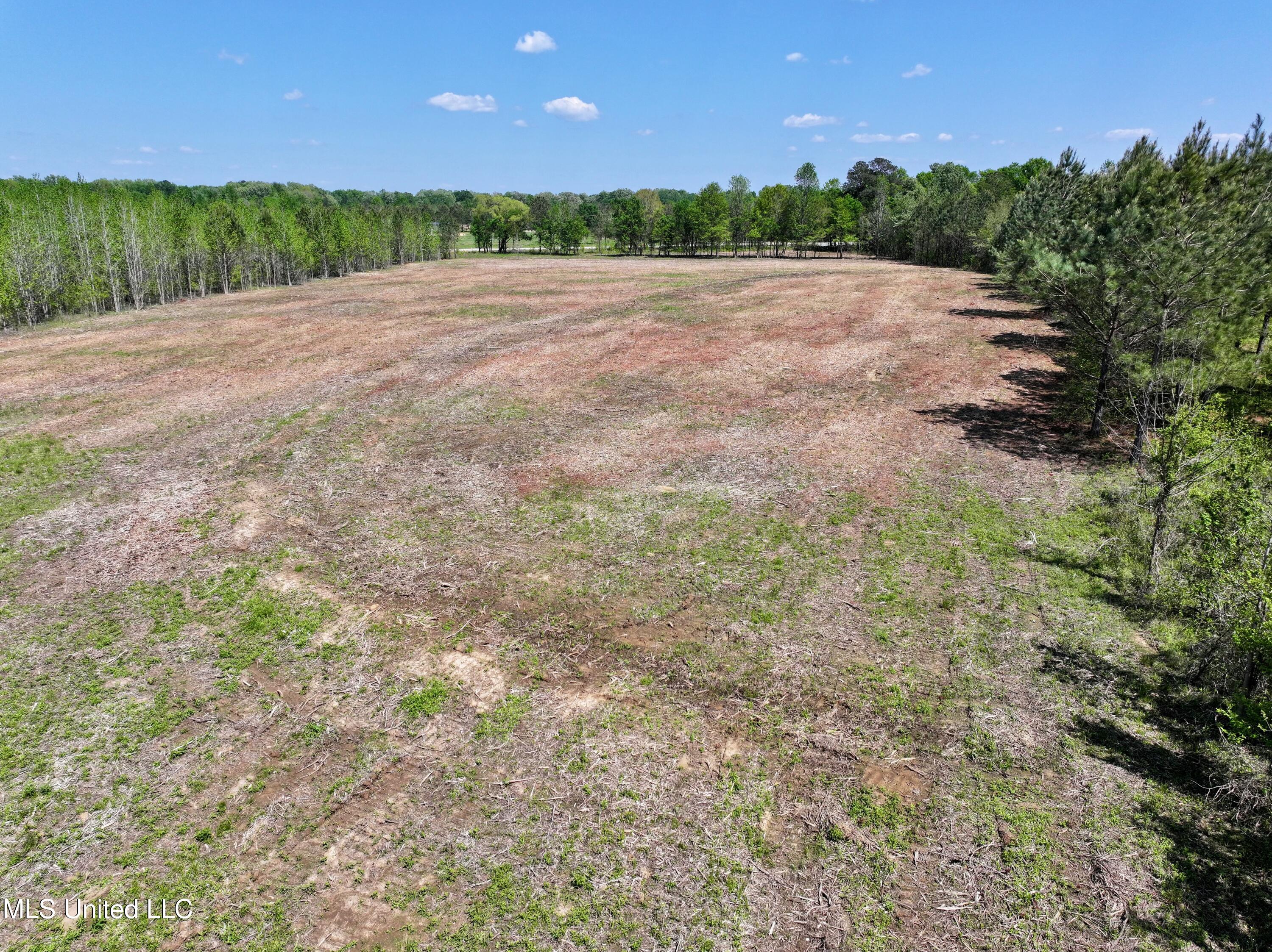 Windfall Trail, Madison, Mississippi image 17