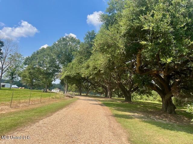 60327 Hwy 445, Amite, Louisiana image 10