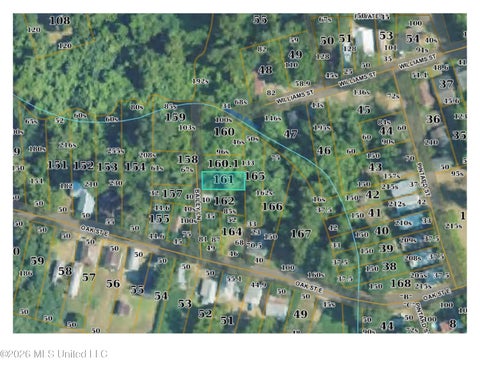 Vacant Land For Sale - 4 Bailey Lane<br/> Adams County, Natchez, MS 39120