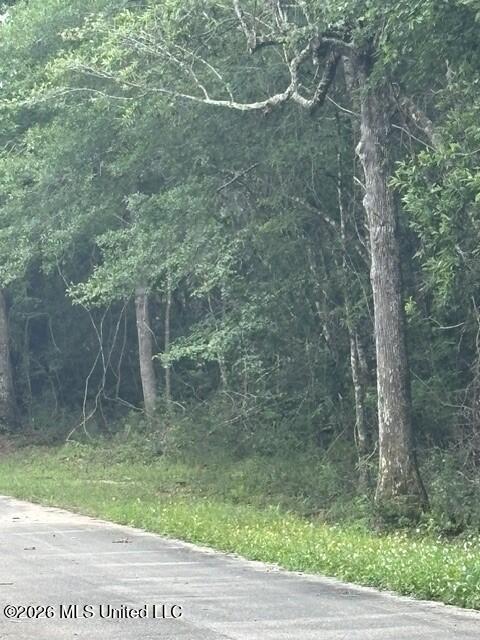Vacant Land For Sale - 26063 Elm Road<br/> Harrison County, Pass Christian, MS 39571