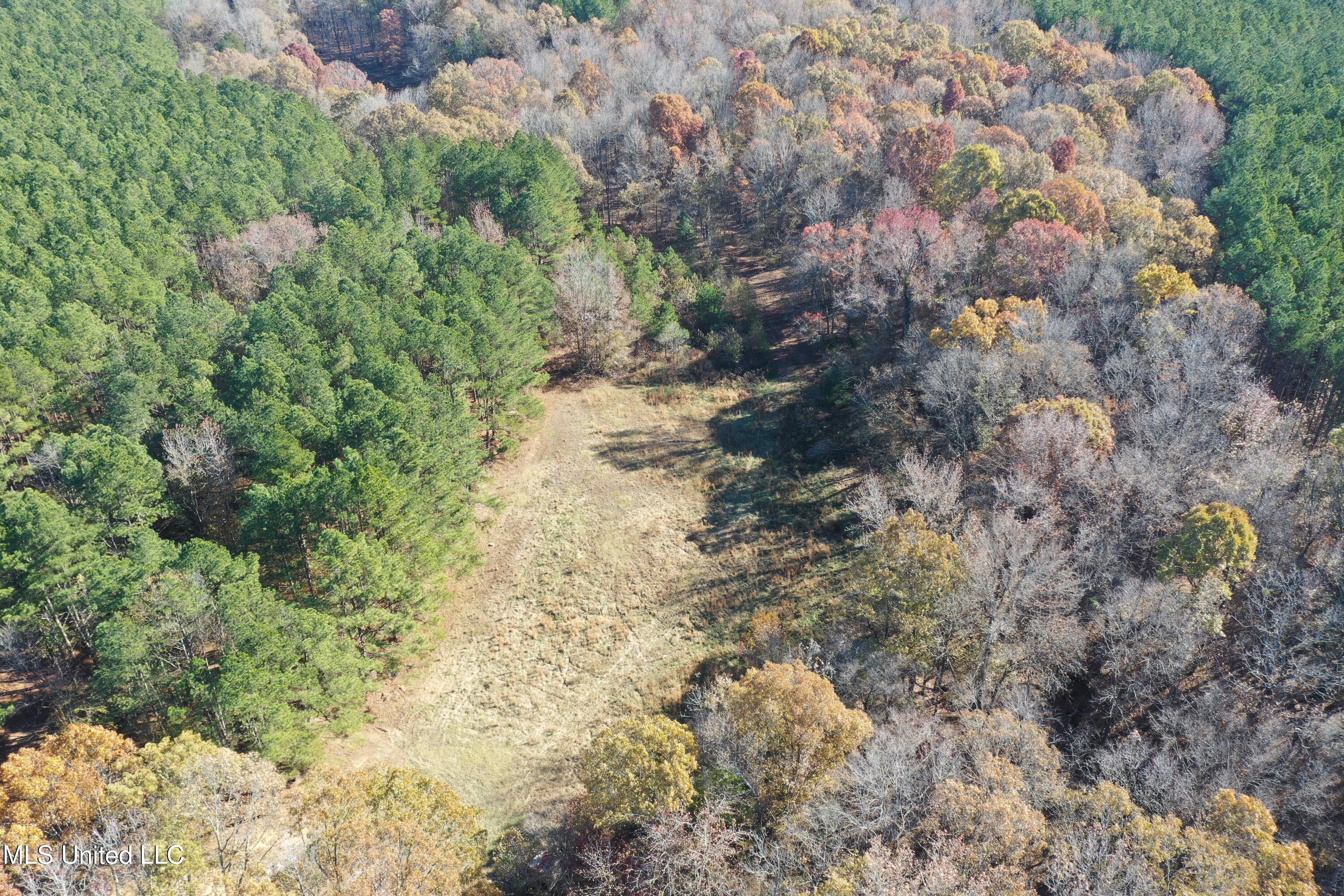 2601 S S. Slayden Road, Lamar, Mississippi image 9