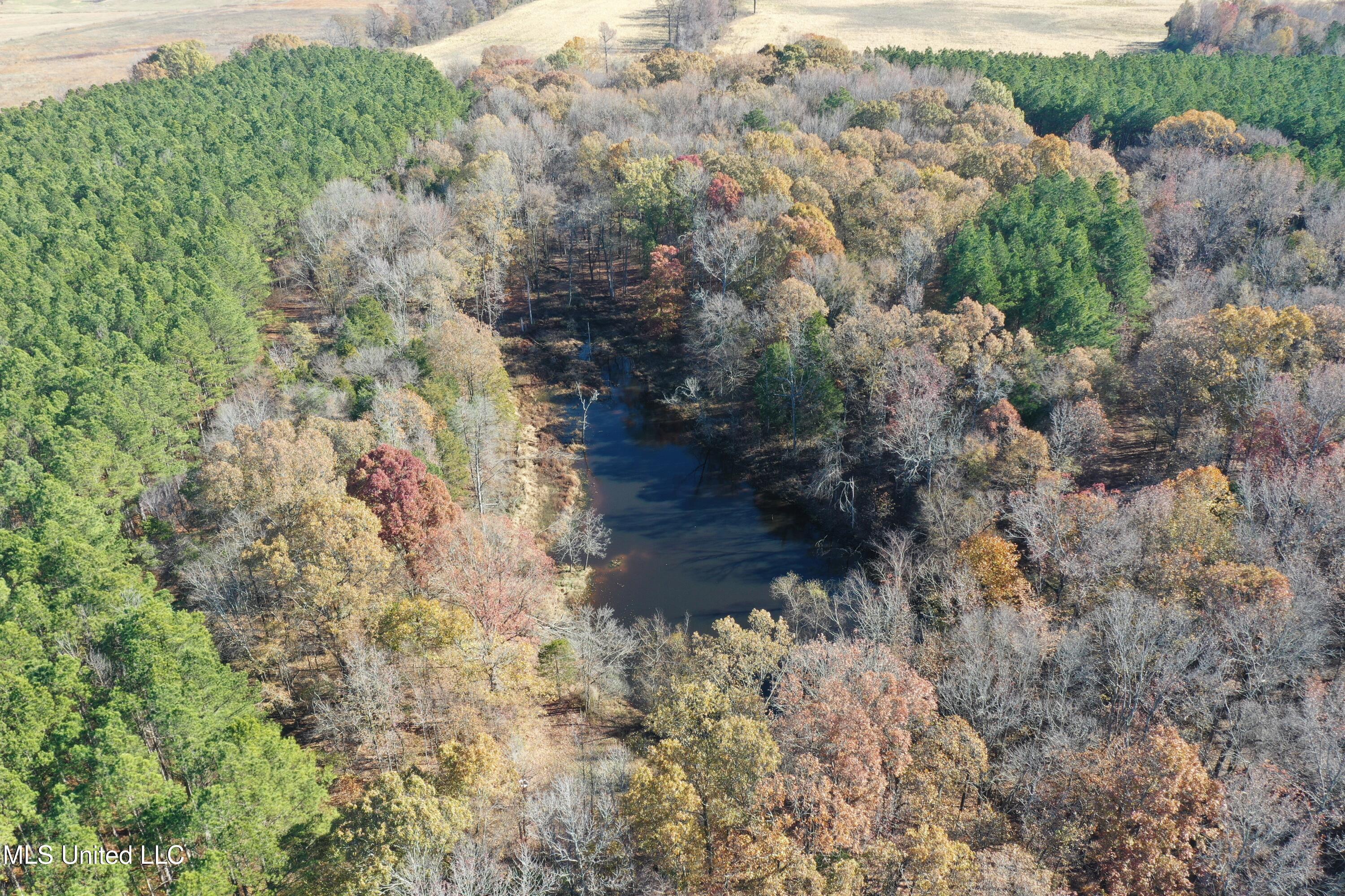 2601 S S. Slayden Road, Lamar, Mississippi image 8