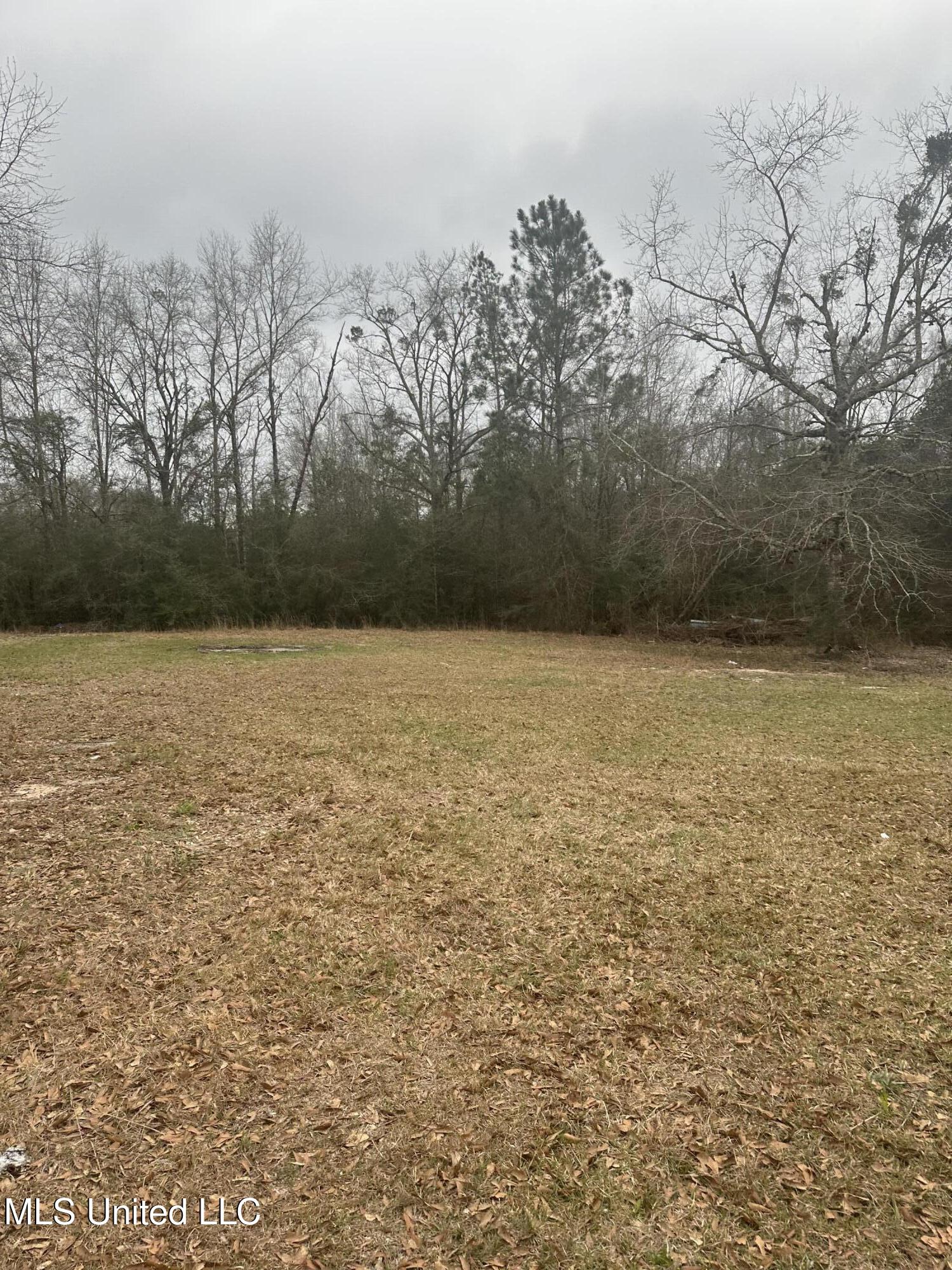 21459 Mcdowell Road, Saucier, Mississippi image 6