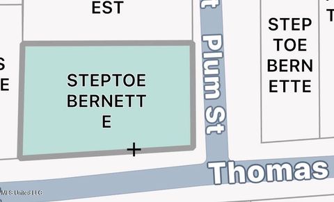 Vacant Land For Sale - 1306 Thomas Street<br/> Summit, MS 39666