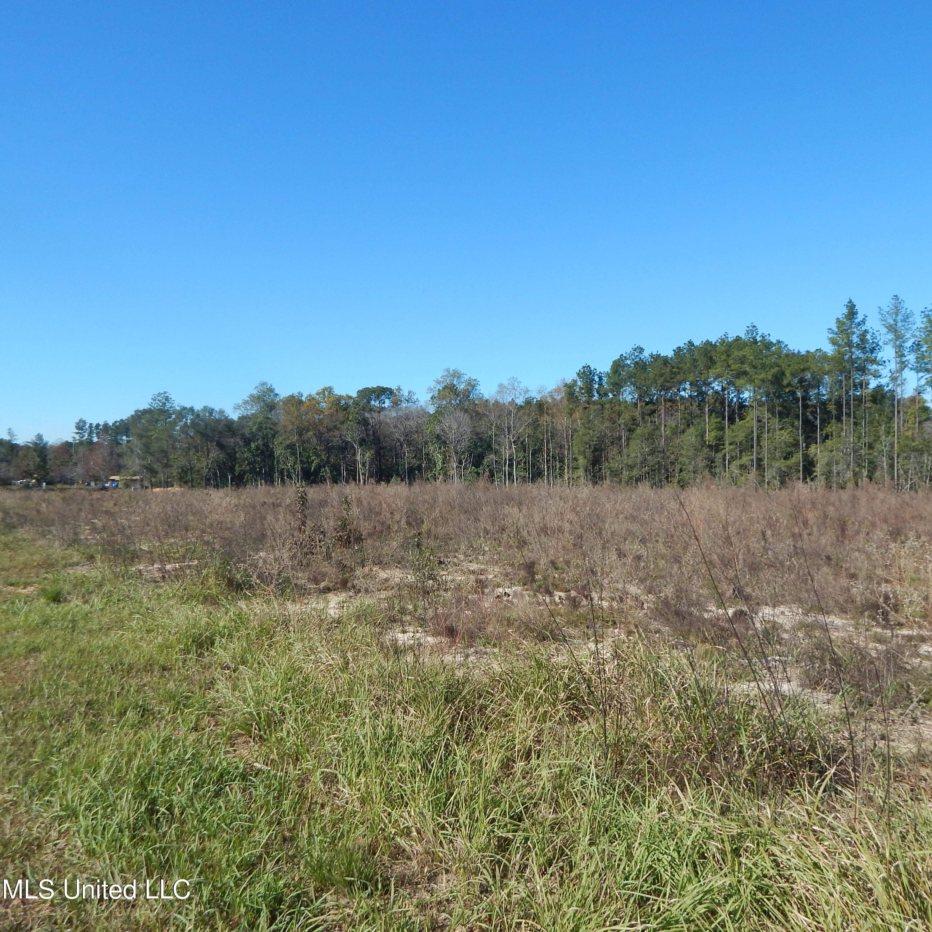 Blackberry Lane, Lucedale, Mississippi image 6