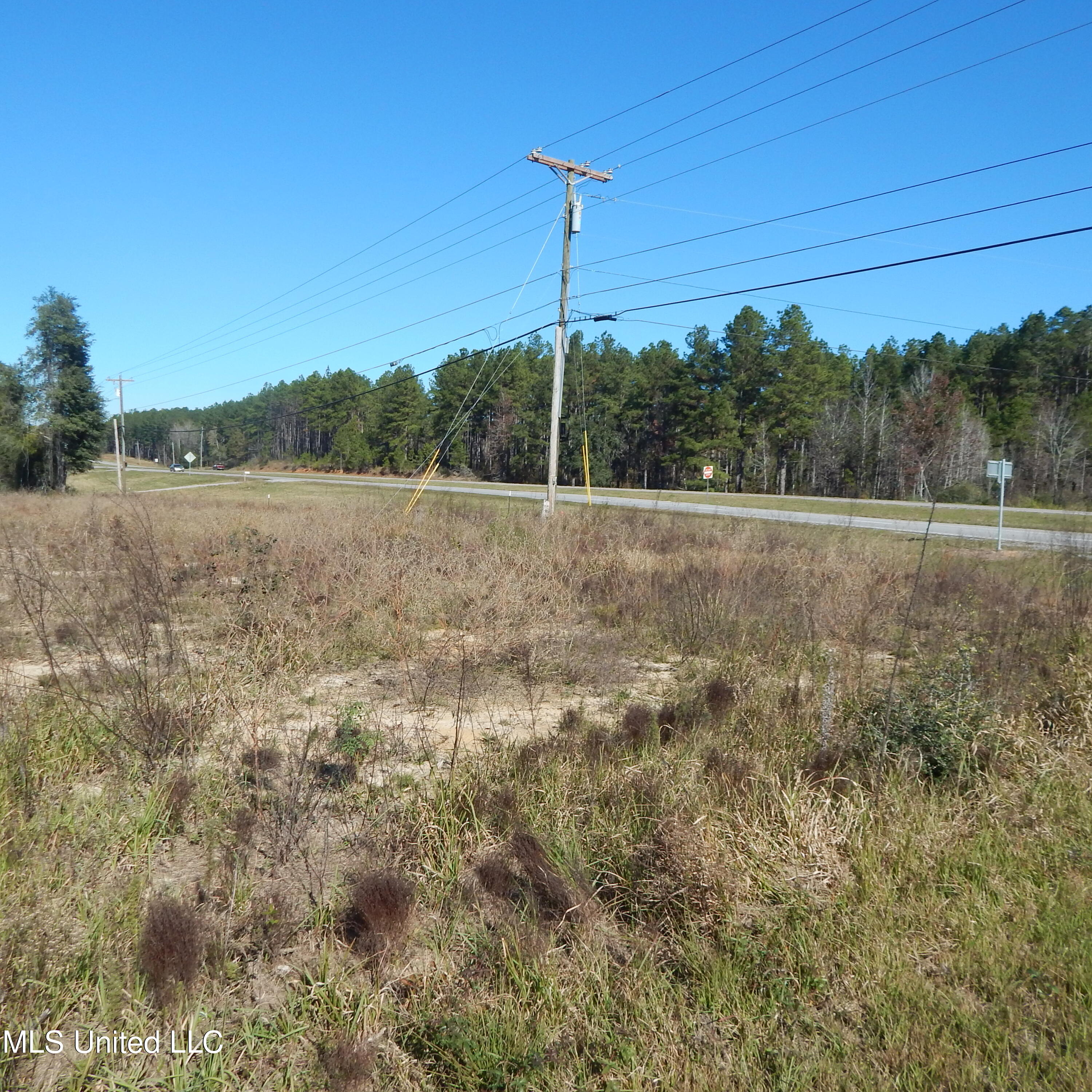Blackberry Lane, Lucedale, Mississippi image 4