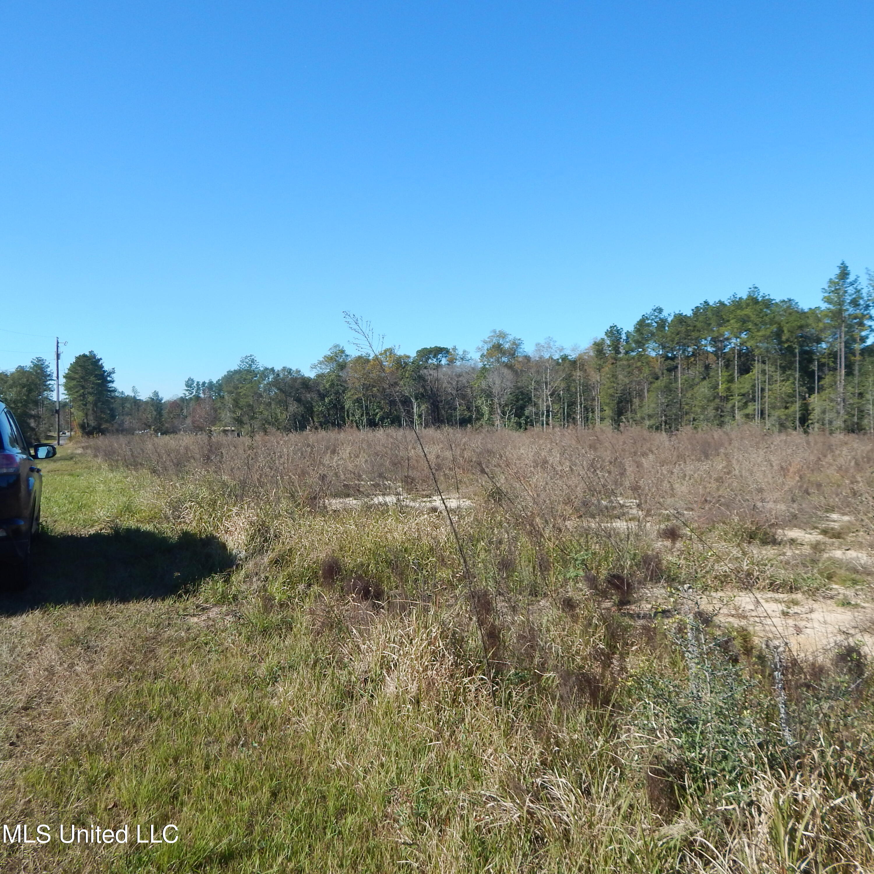 Blackberry Lane, Lucedale, Mississippi image 5