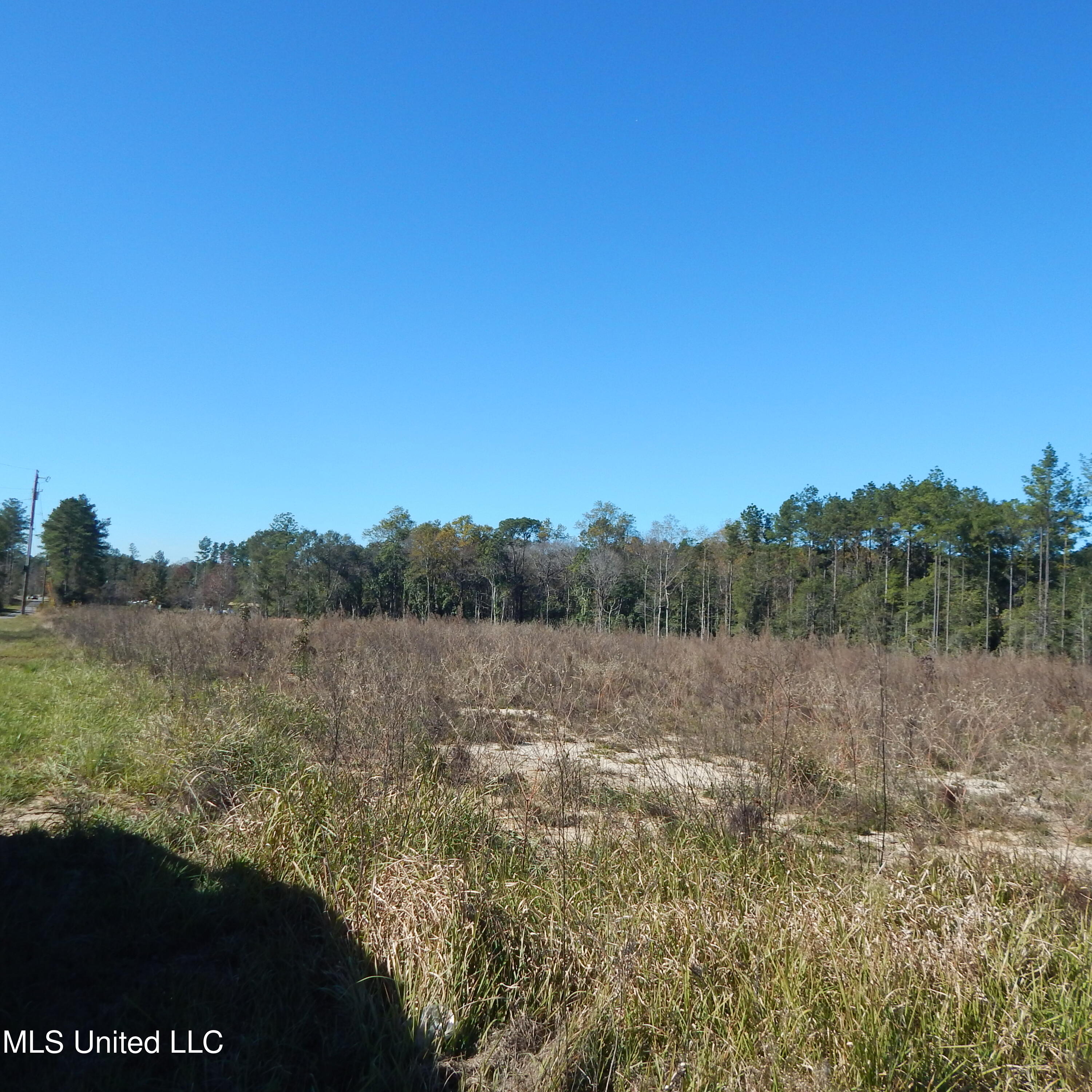 Blackberry Lane, Lucedale, Mississippi image 2
