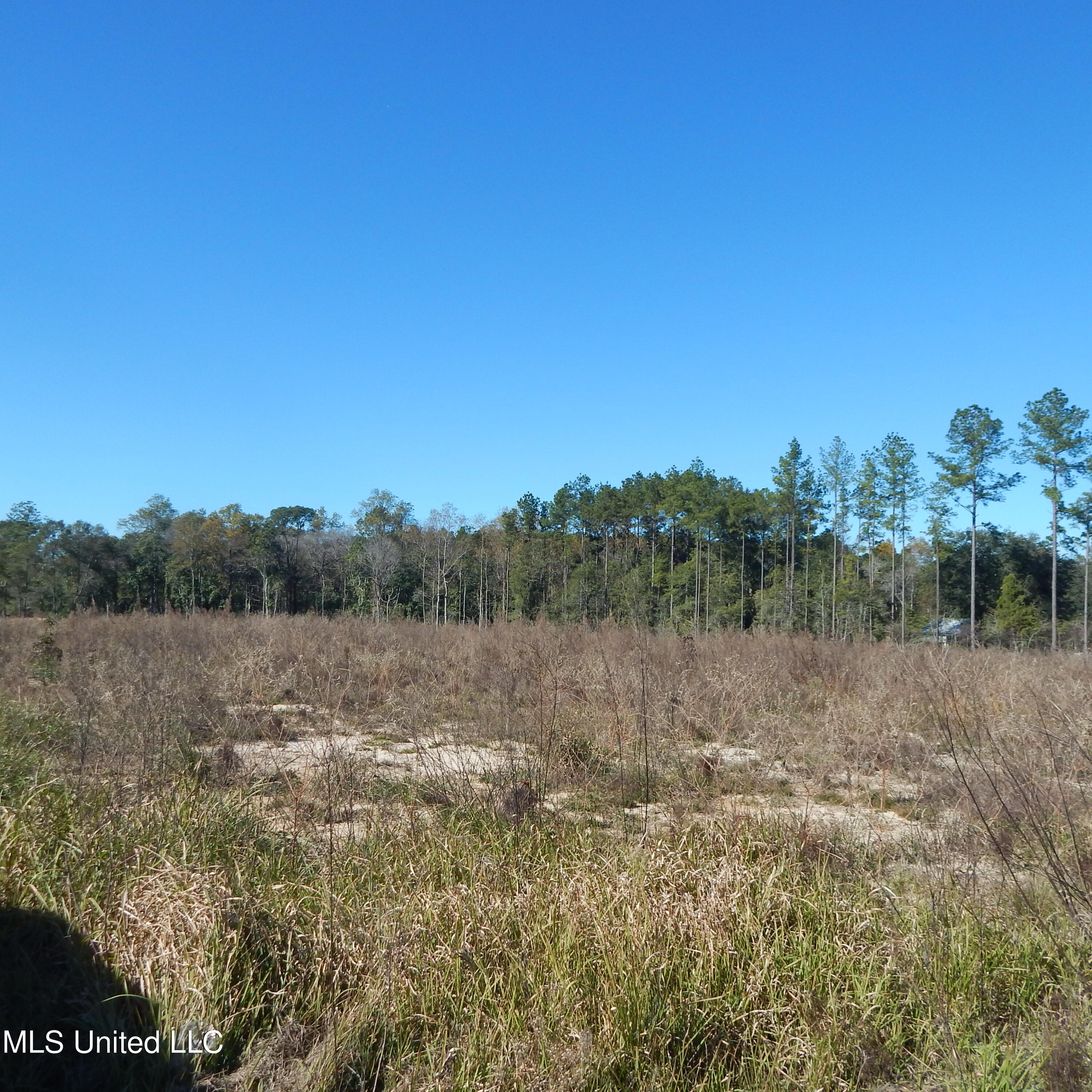 Blackberry Lane, Lucedale, Mississippi image 1