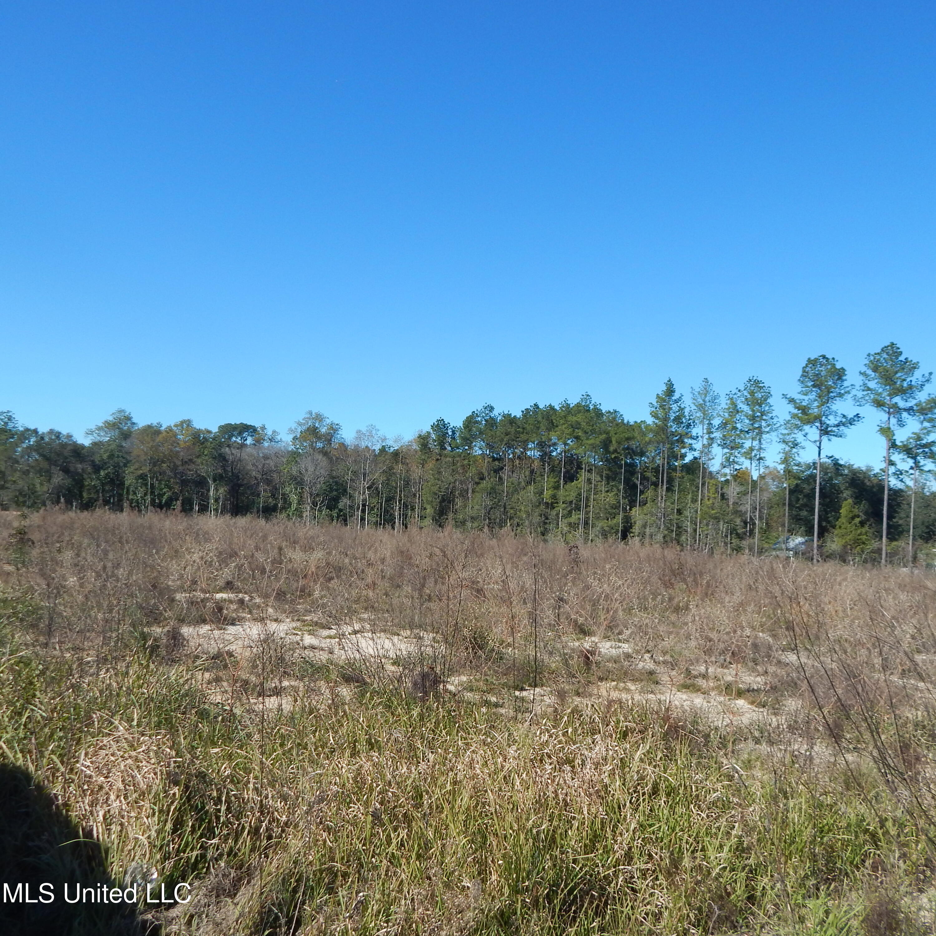 Blackberry Lane, Lucedale, Mississippi image 8