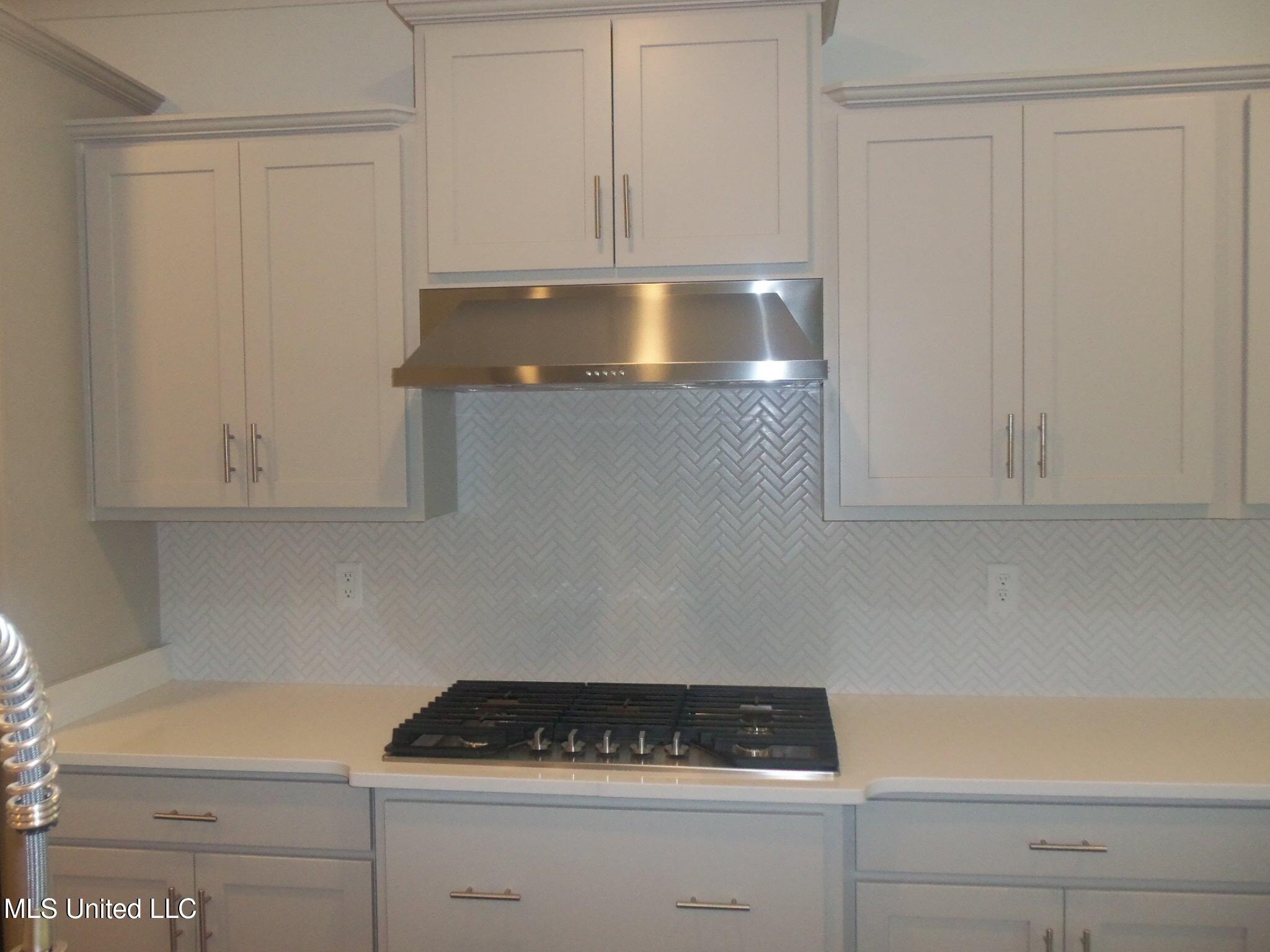 3372 Blooming Grove Road, Olive Branch, Mississippi image 10
