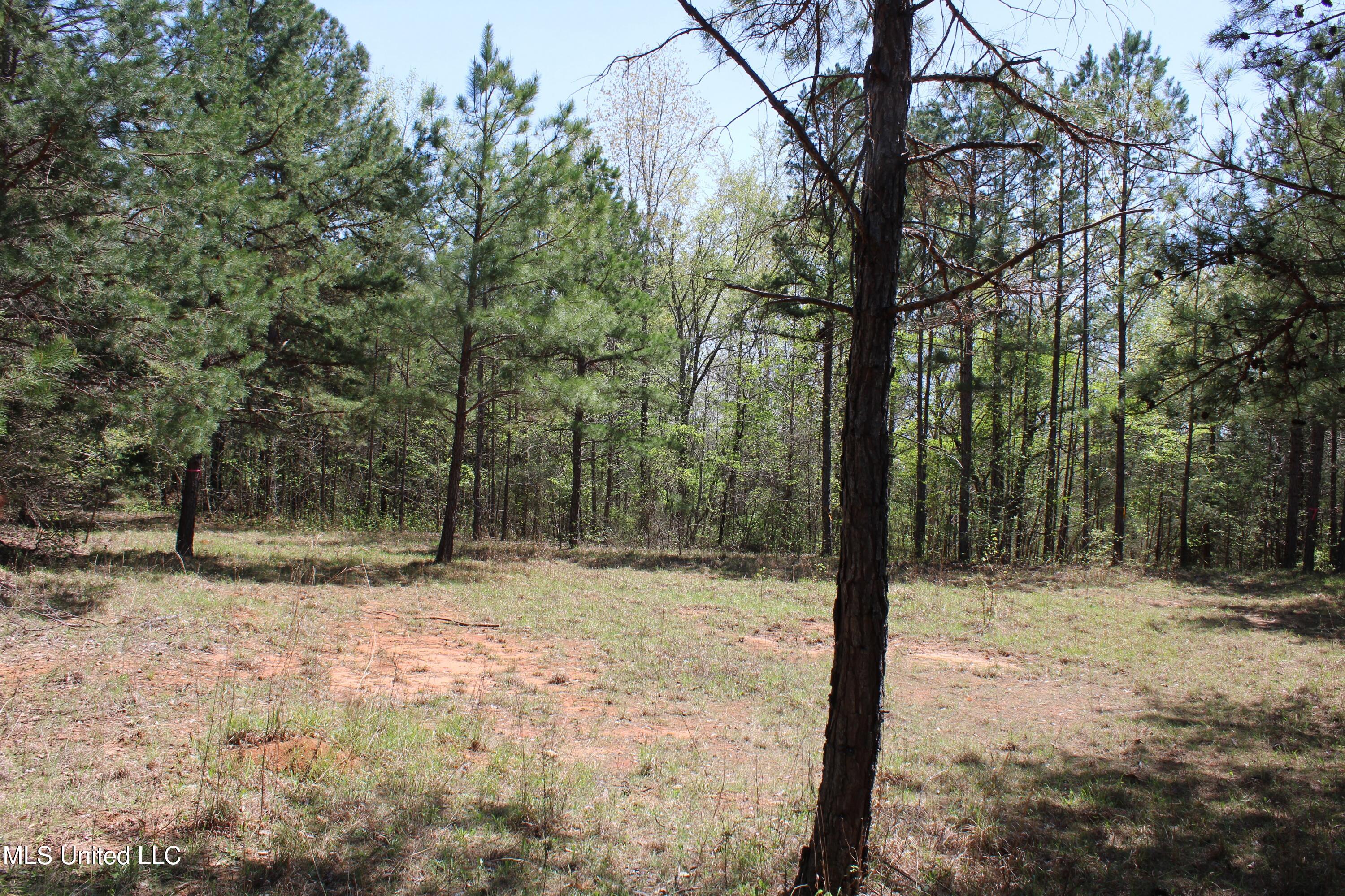 875 Mccravy Road, Hickory Flat, Mississippi image 45