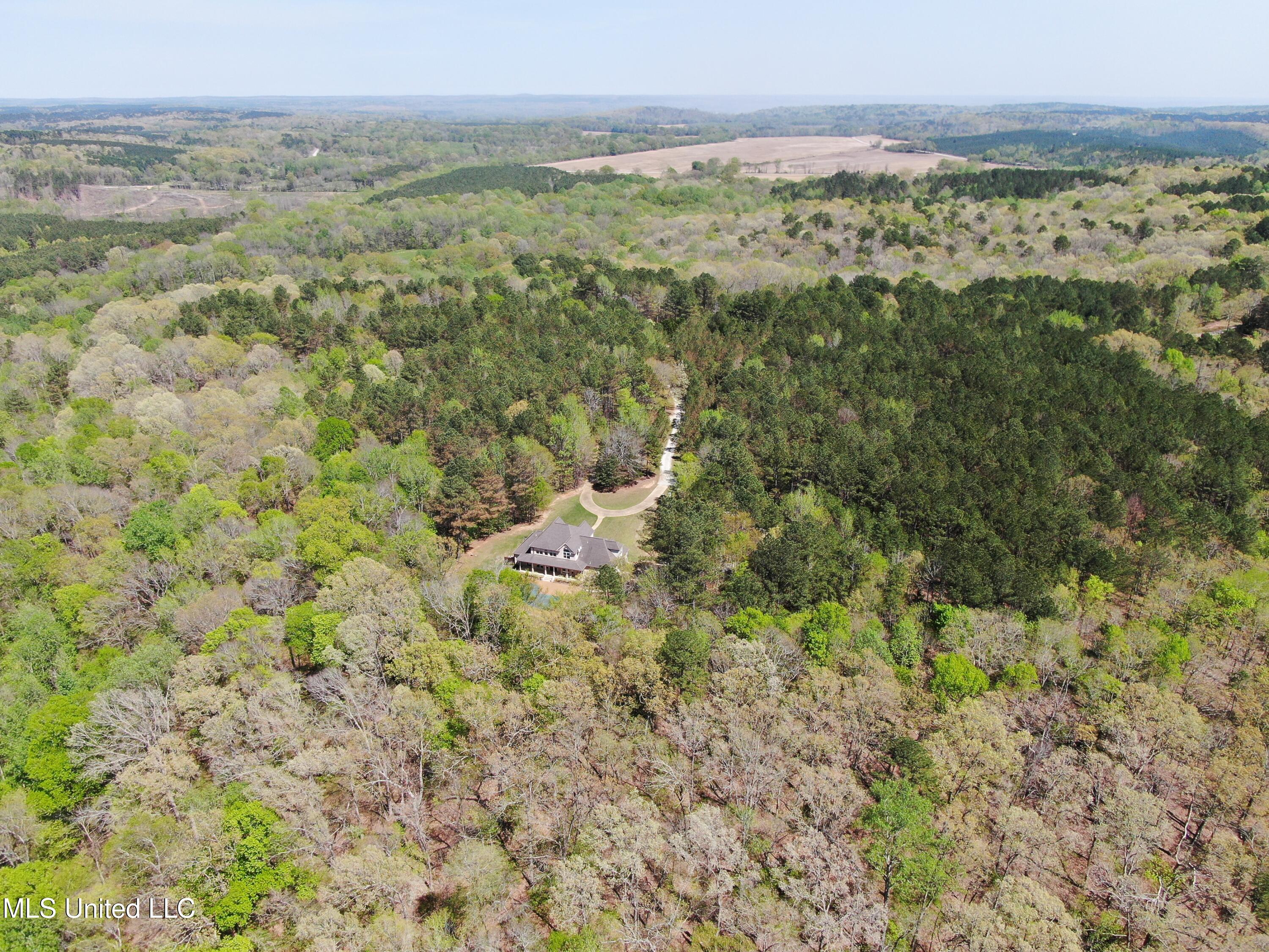 875 Mccravy Road, Hickory Flat, Mississippi image 22