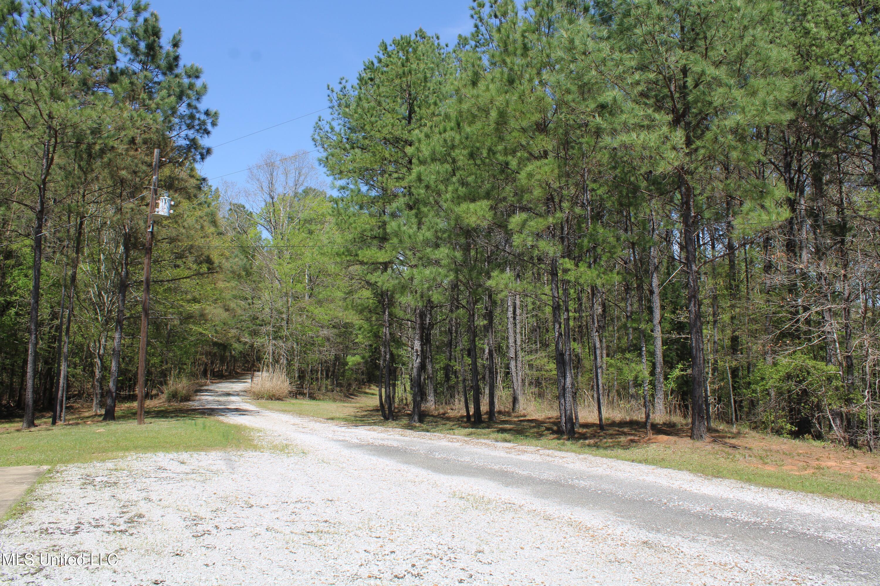 875 Mccravy Road, Hickory Flat, Mississippi image 35