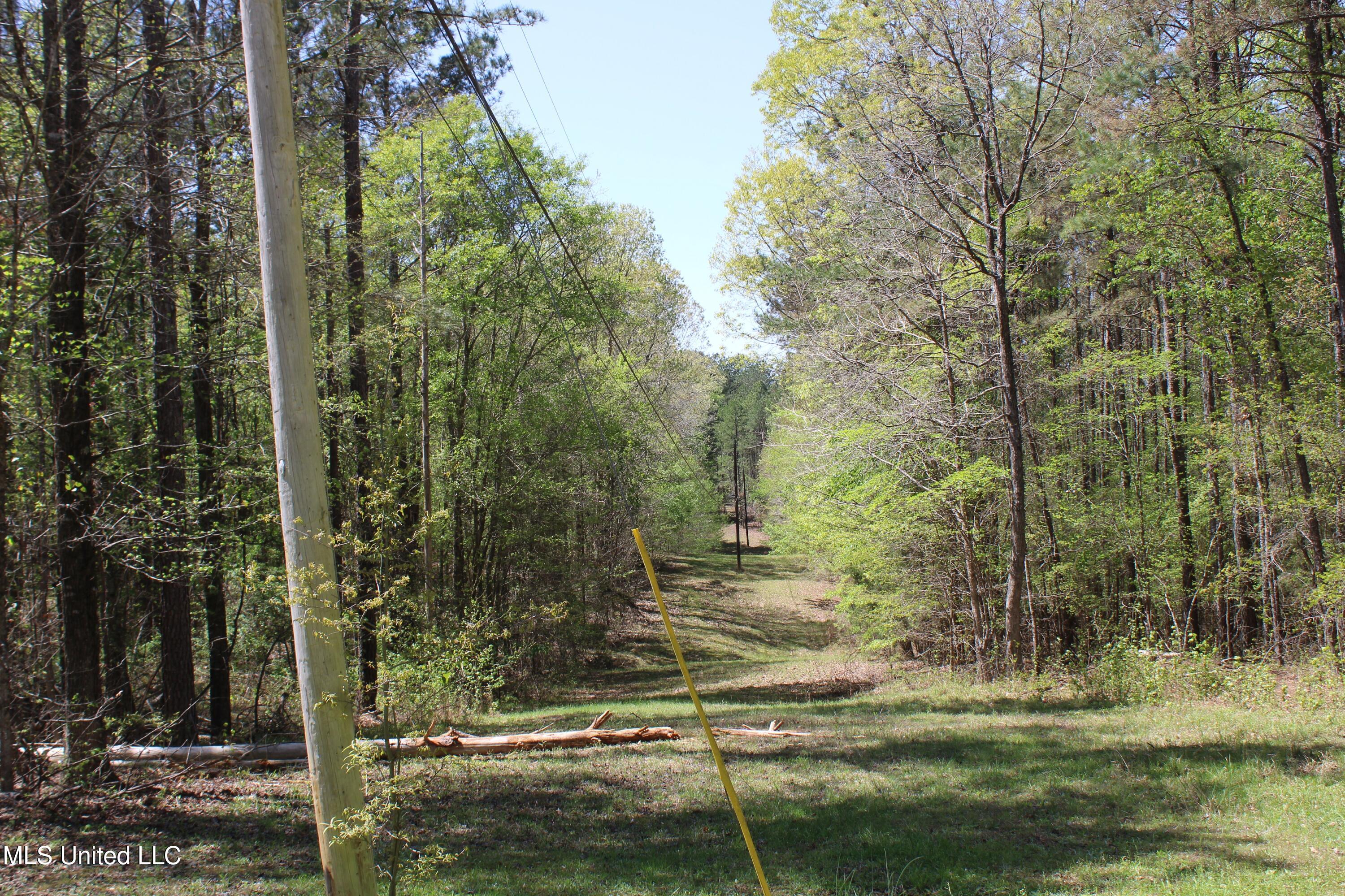 875 Mccravy Road, Hickory Flat, Mississippi image 49