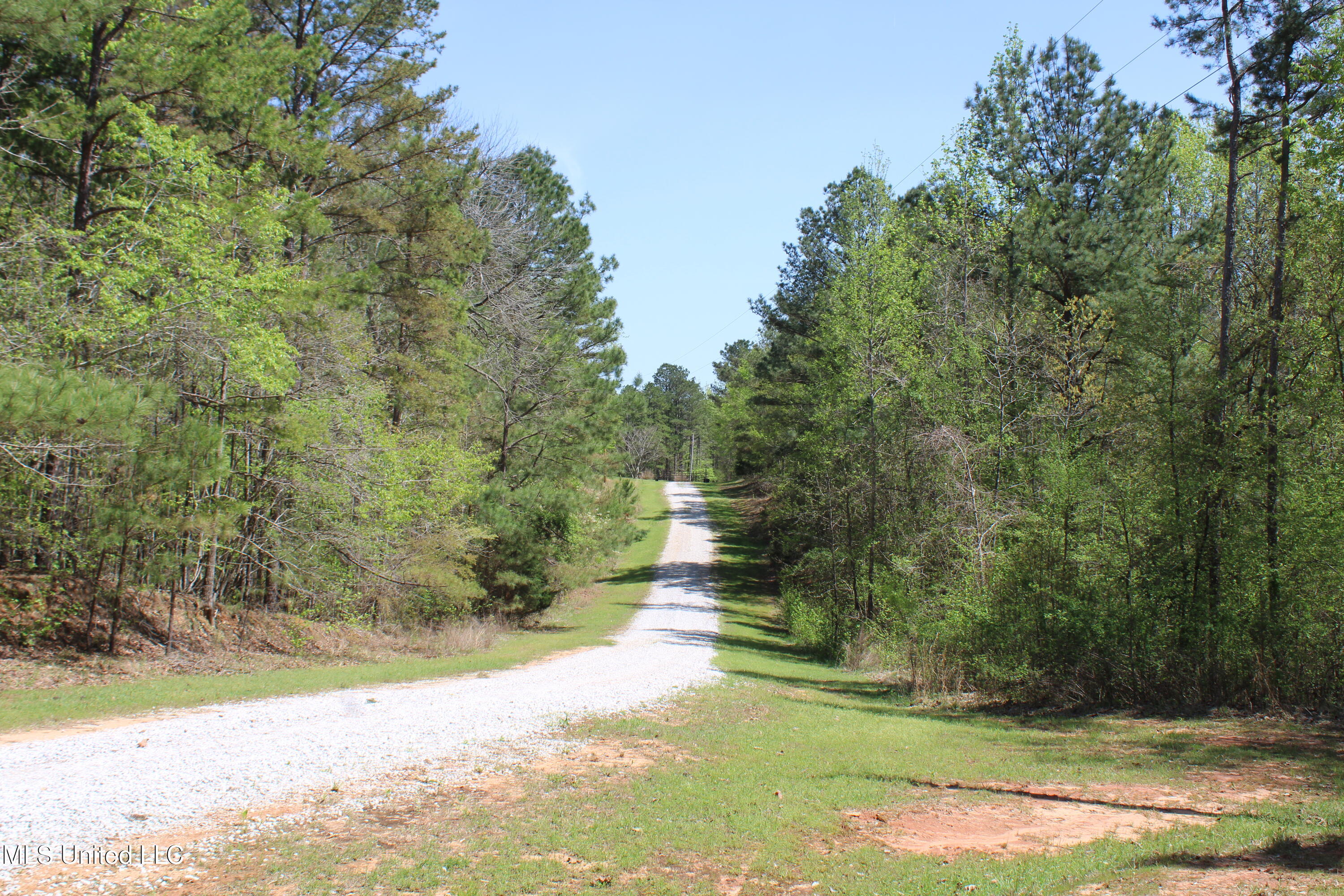 875 Mccravy Road, Hickory Flat, Mississippi image 37