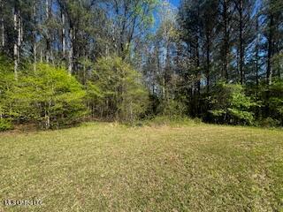 134 Pine Ridge, Pope, Mississippi image 7