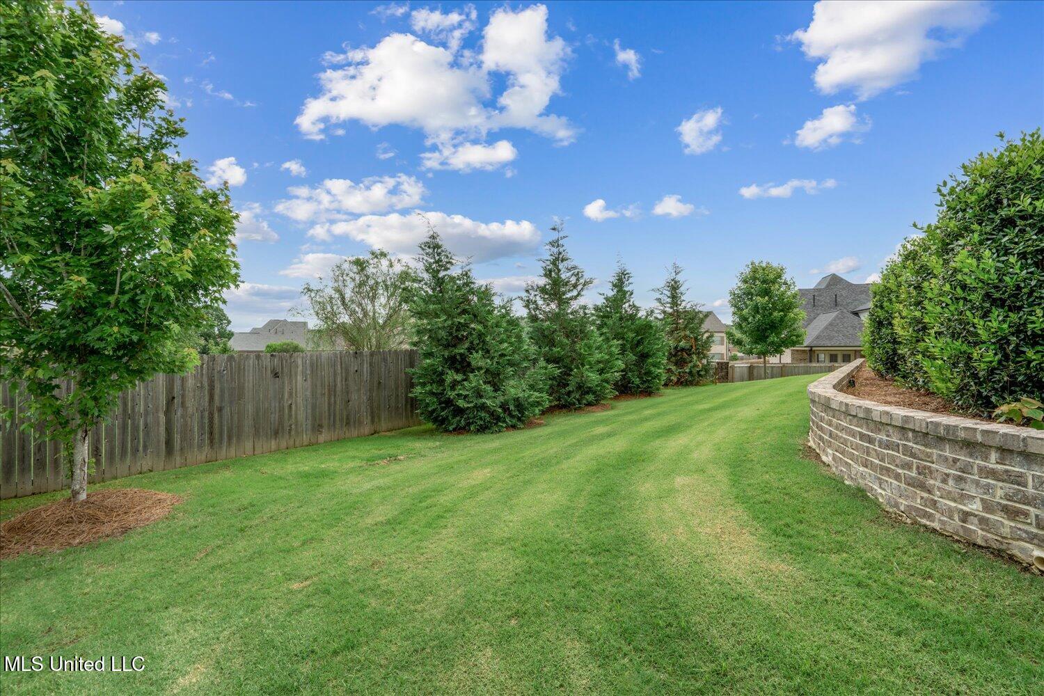 8063 Elizabeth Drive, Olive Branch, Mississippi image 50