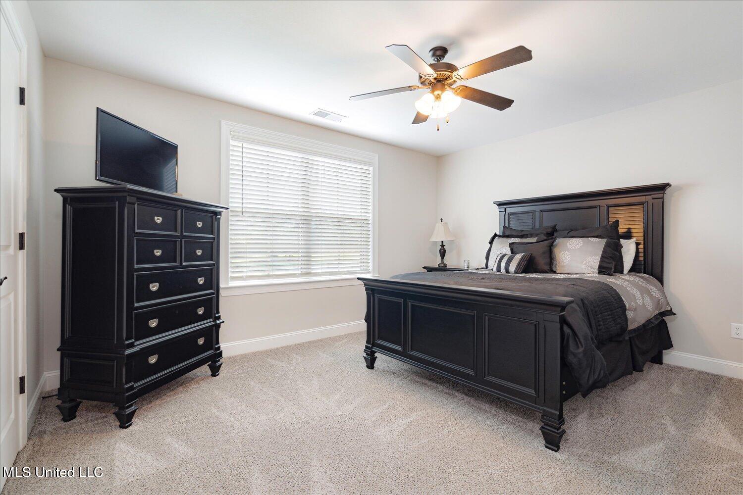 8063 Elizabeth Drive, Olive Branch, Mississippi image 35