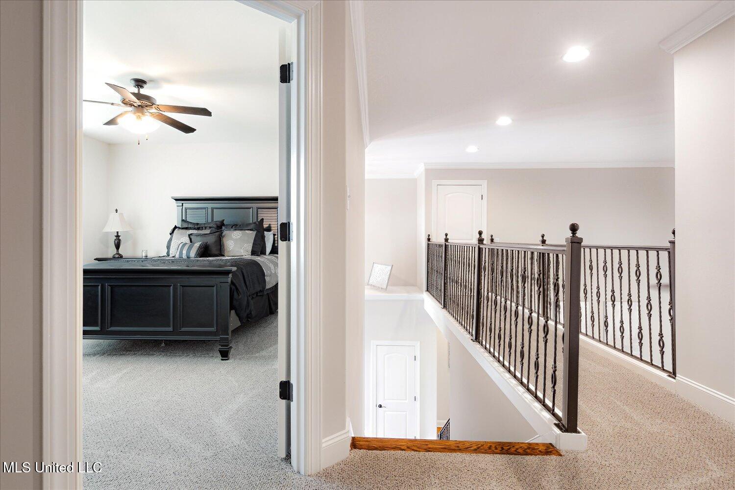 8063 Elizabeth Drive, Olive Branch, Mississippi image 34