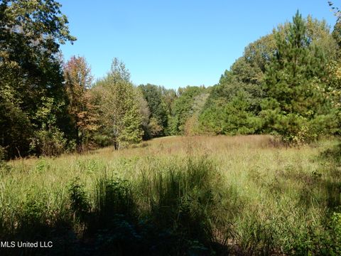 Vacant Land For Sale - LOT 8 N Crockett Road<br/> Senatobia, MS 38668
