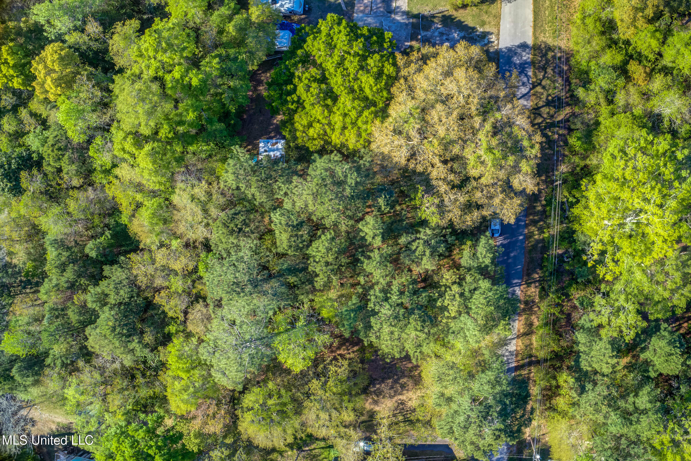 2205 S 17th Street, Ocean Springs, Mississippi image 20