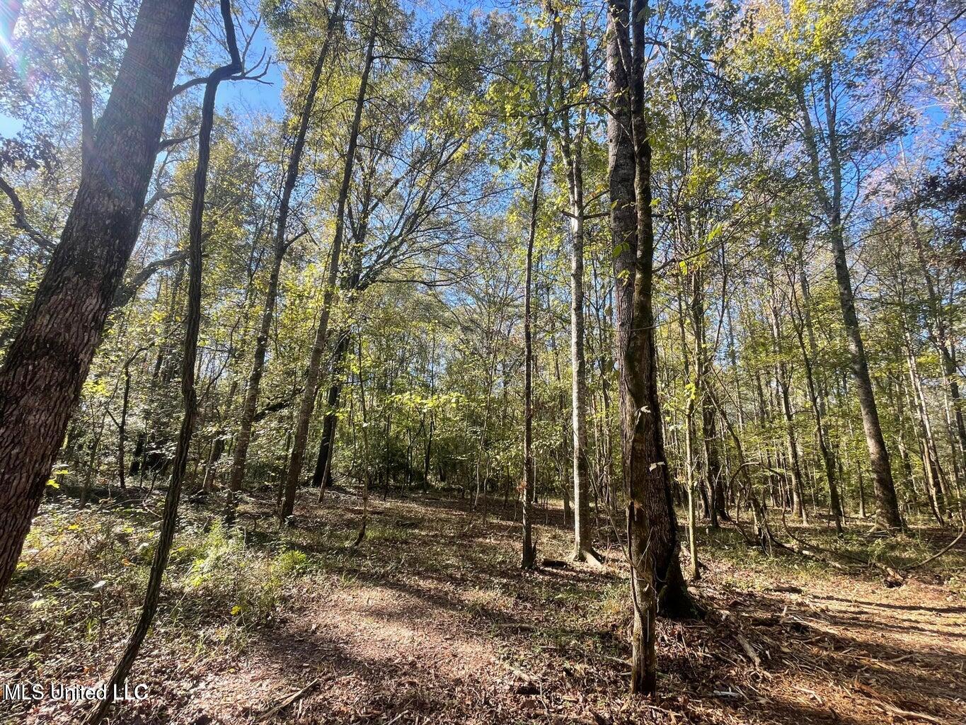 1 Lep Childress Rd, Flora, Mississippi image 10