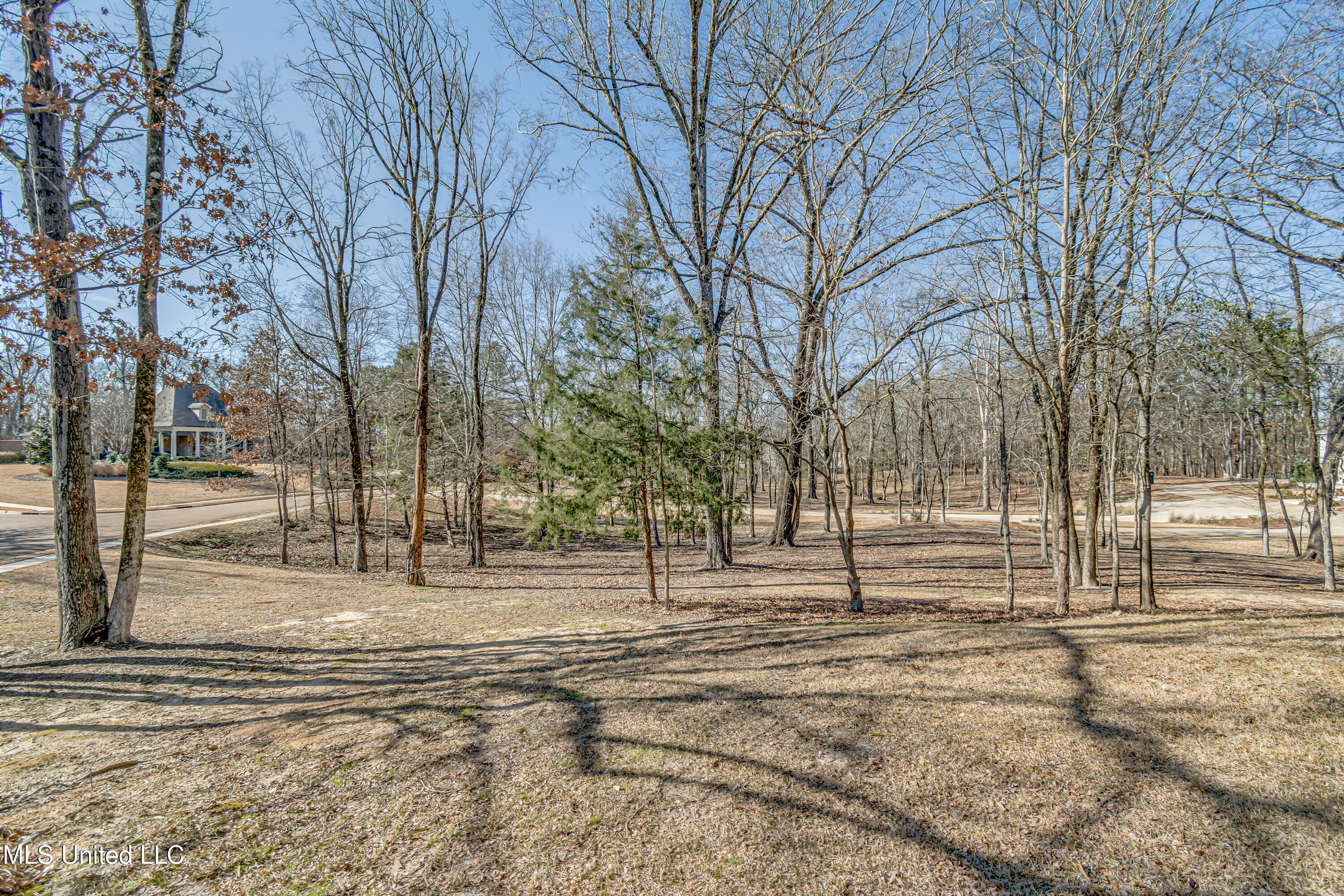 Ridgeland, Mississippi 39157, United States, 5 Bedrooms Bedrooms, ,6 BathroomsBathrooms,Residential,Active,13533