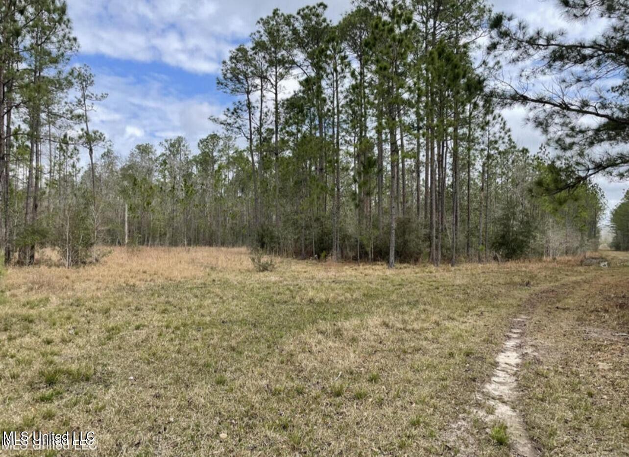 Ms 43 Parcel 1, Kiln, Mississippi image 1