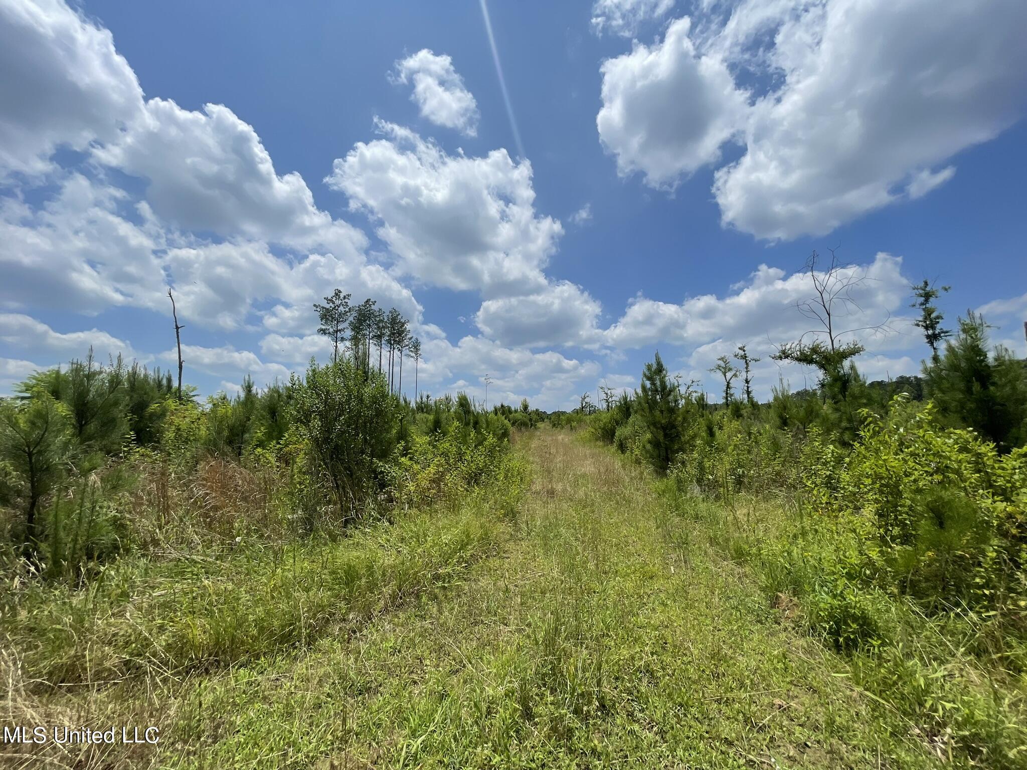 00 Rocky Hill Rd, Camden, Mississippi image 14