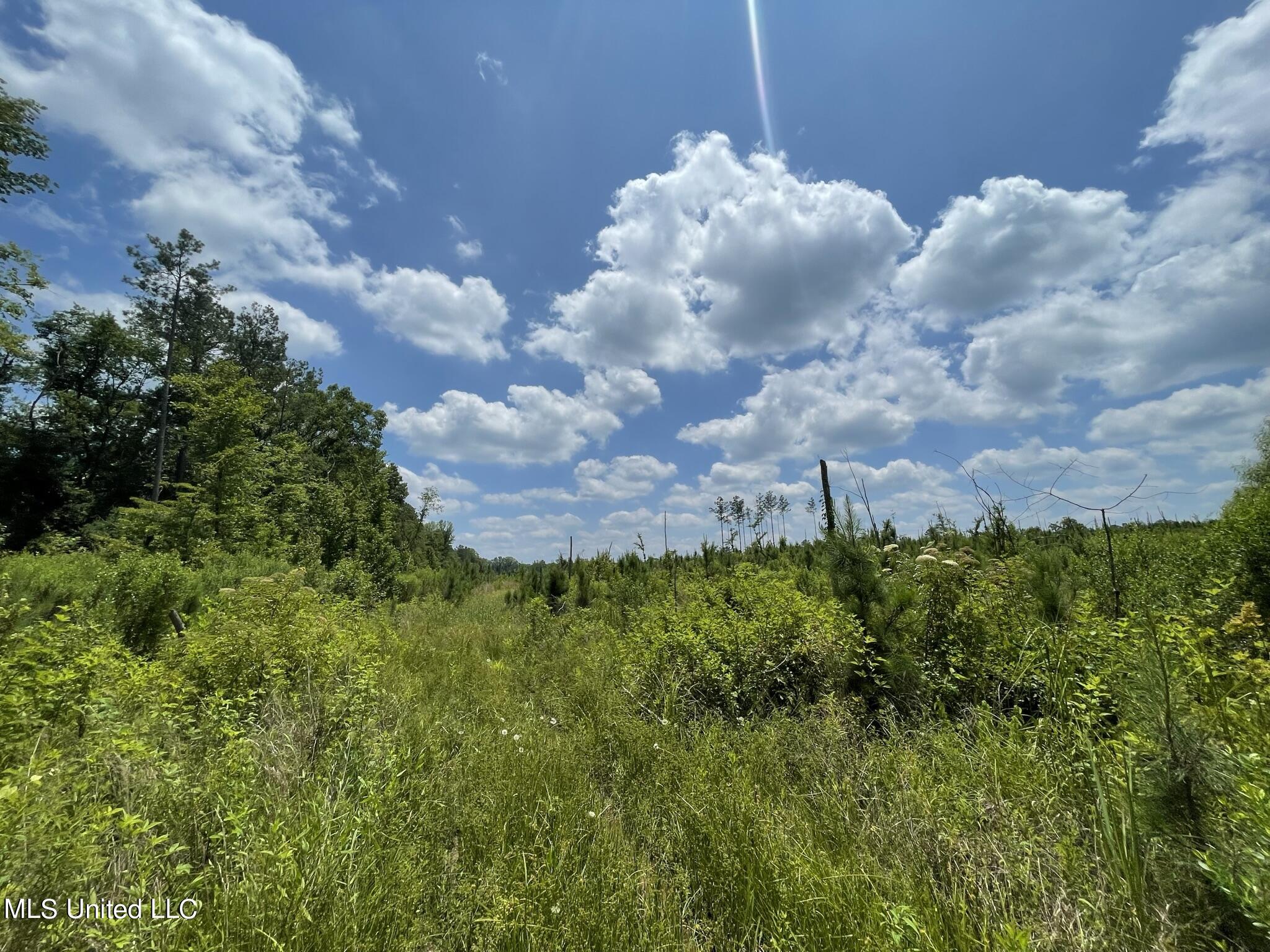 00 Rocky Hill Rd, Camden, Mississippi image 9