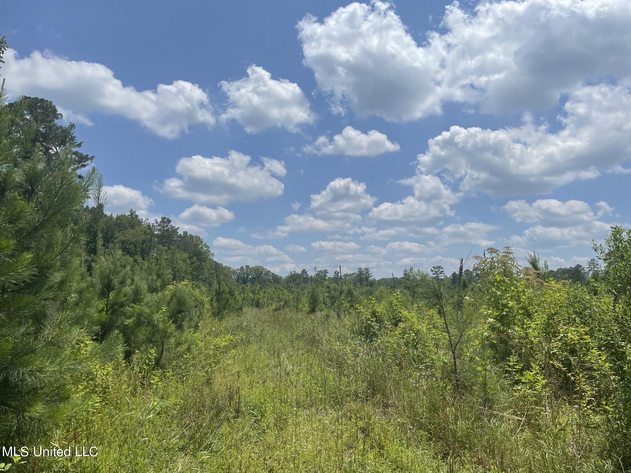 00 Rocky Hill Rd, Camden, Mississippi image 16