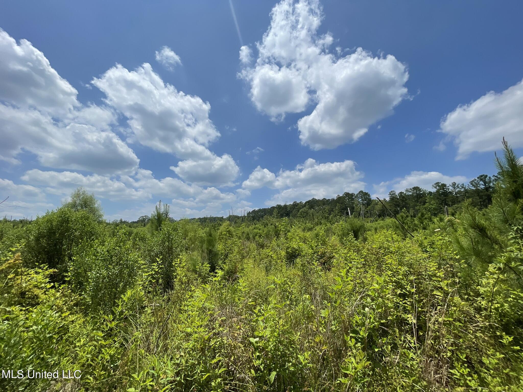 00 Rocky Hill Rd, Camden, Mississippi image 8