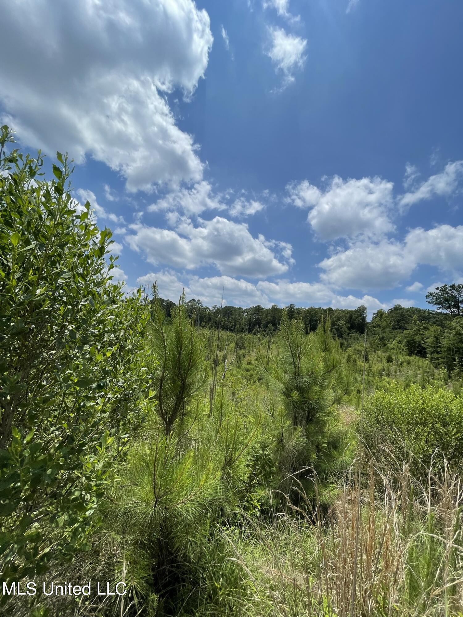 00 Rocky Hill Rd, Camden, Mississippi image 5