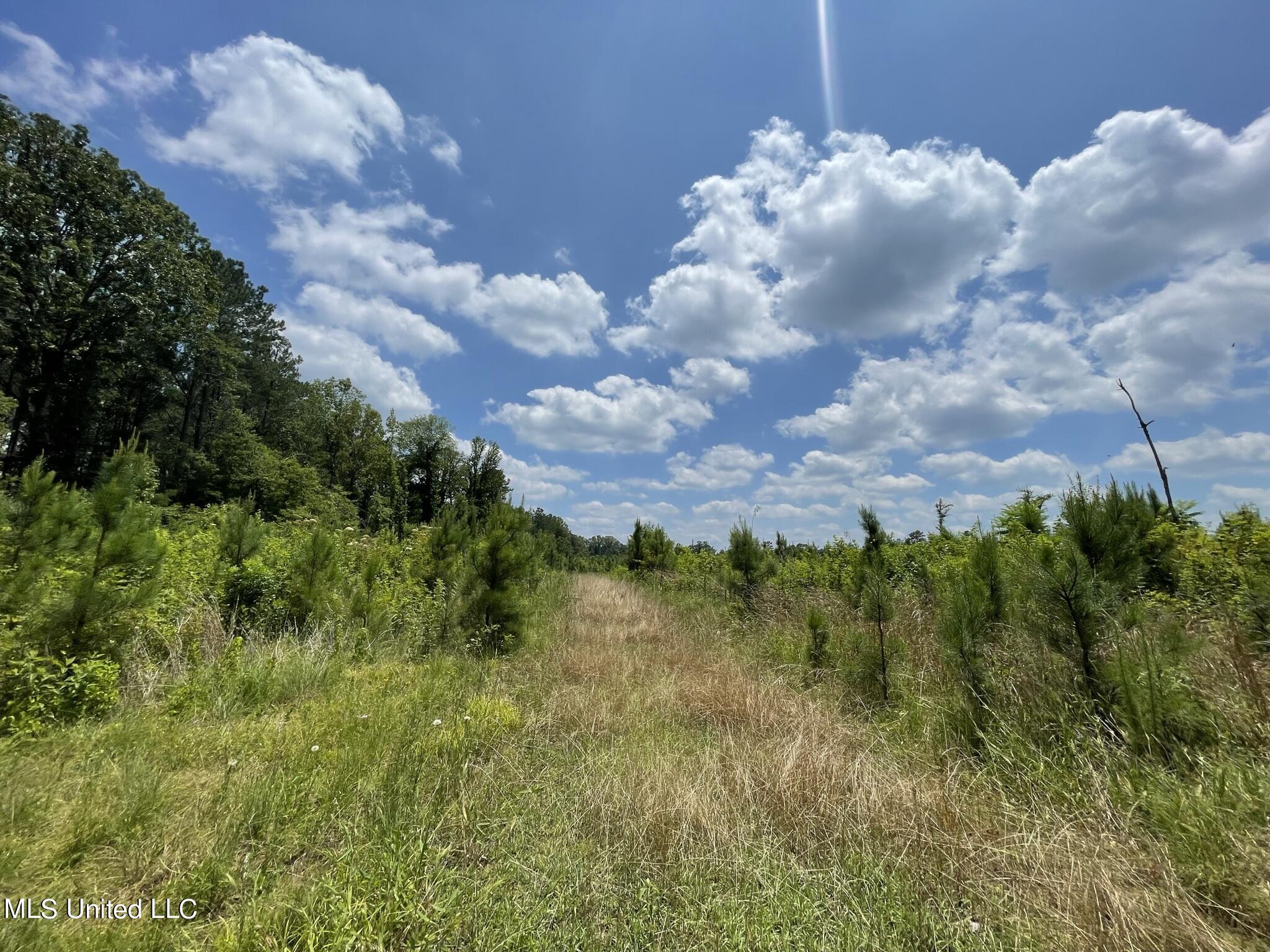 00 Rocky Hill Rd, Camden, Mississippi image 10