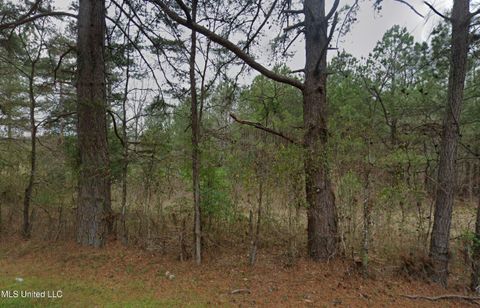 Vacant Land For Sale - Sleepy Hollow Road Lot<br/> Terry, MS 39170