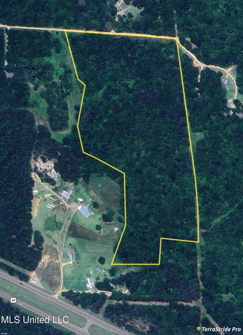 Vacant Land For Sale - E-s Drive<br/> Braxton, MS 39044