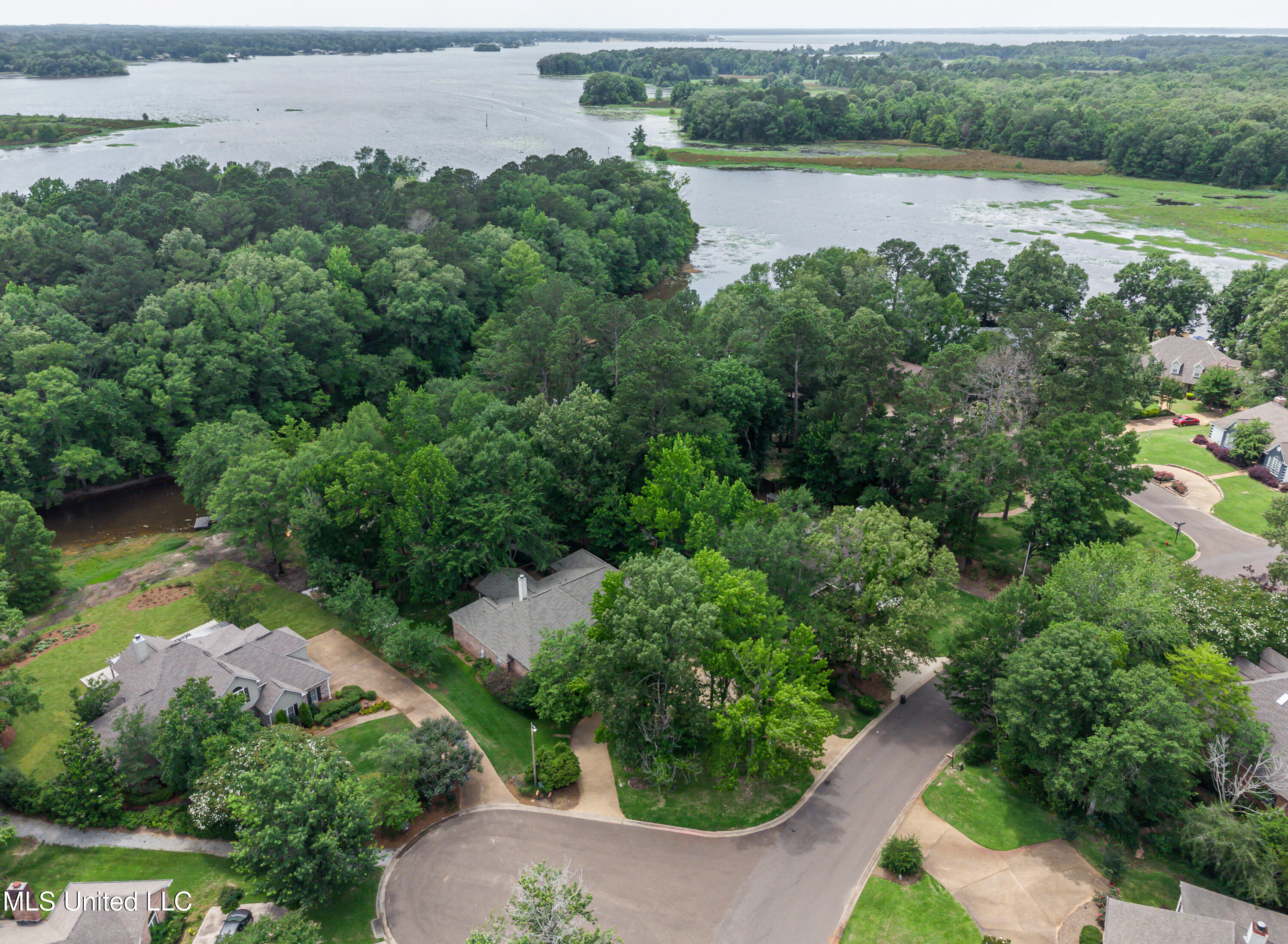 1025 Monet Cove, Brandon, Mississippi image 1